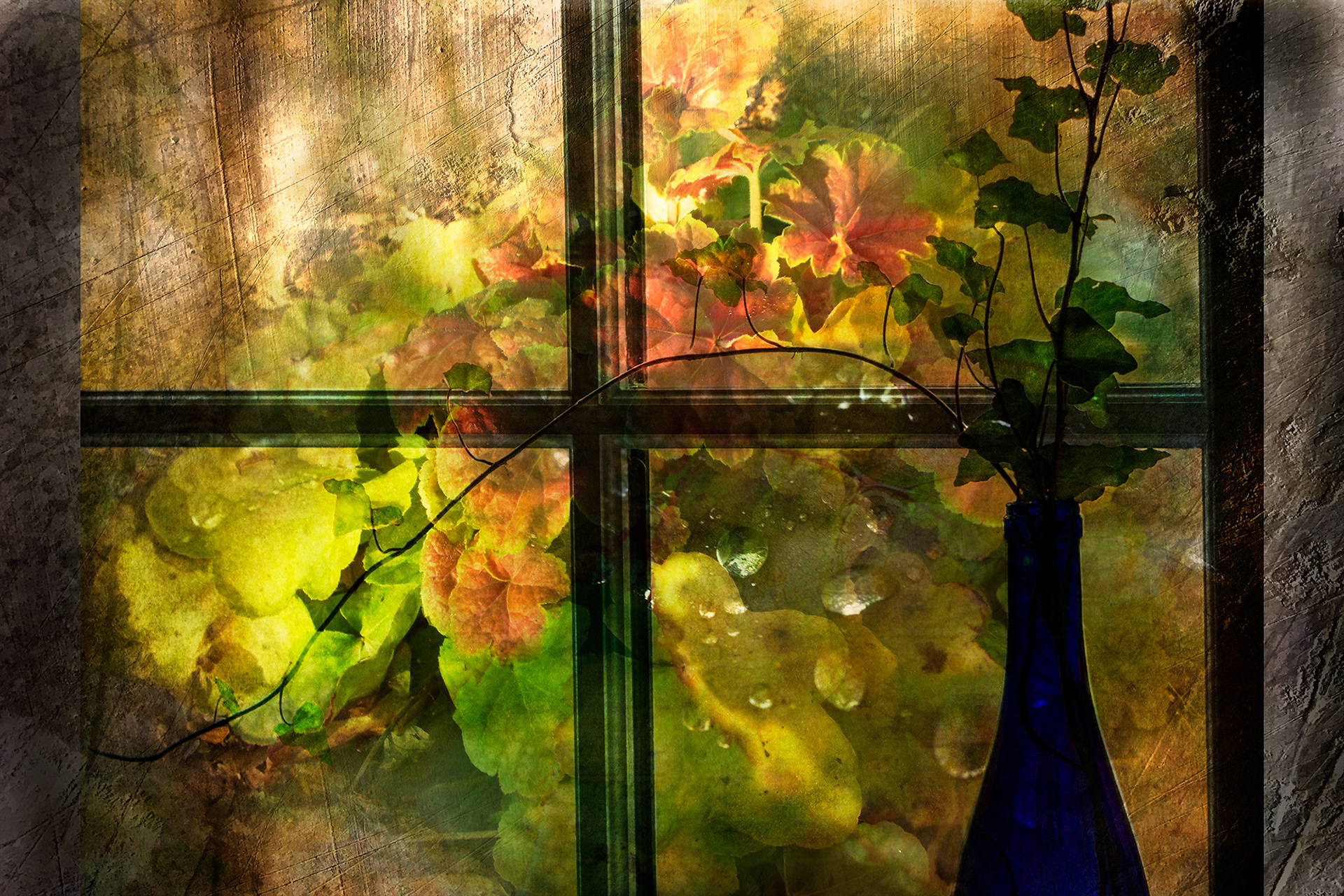 Through the Window