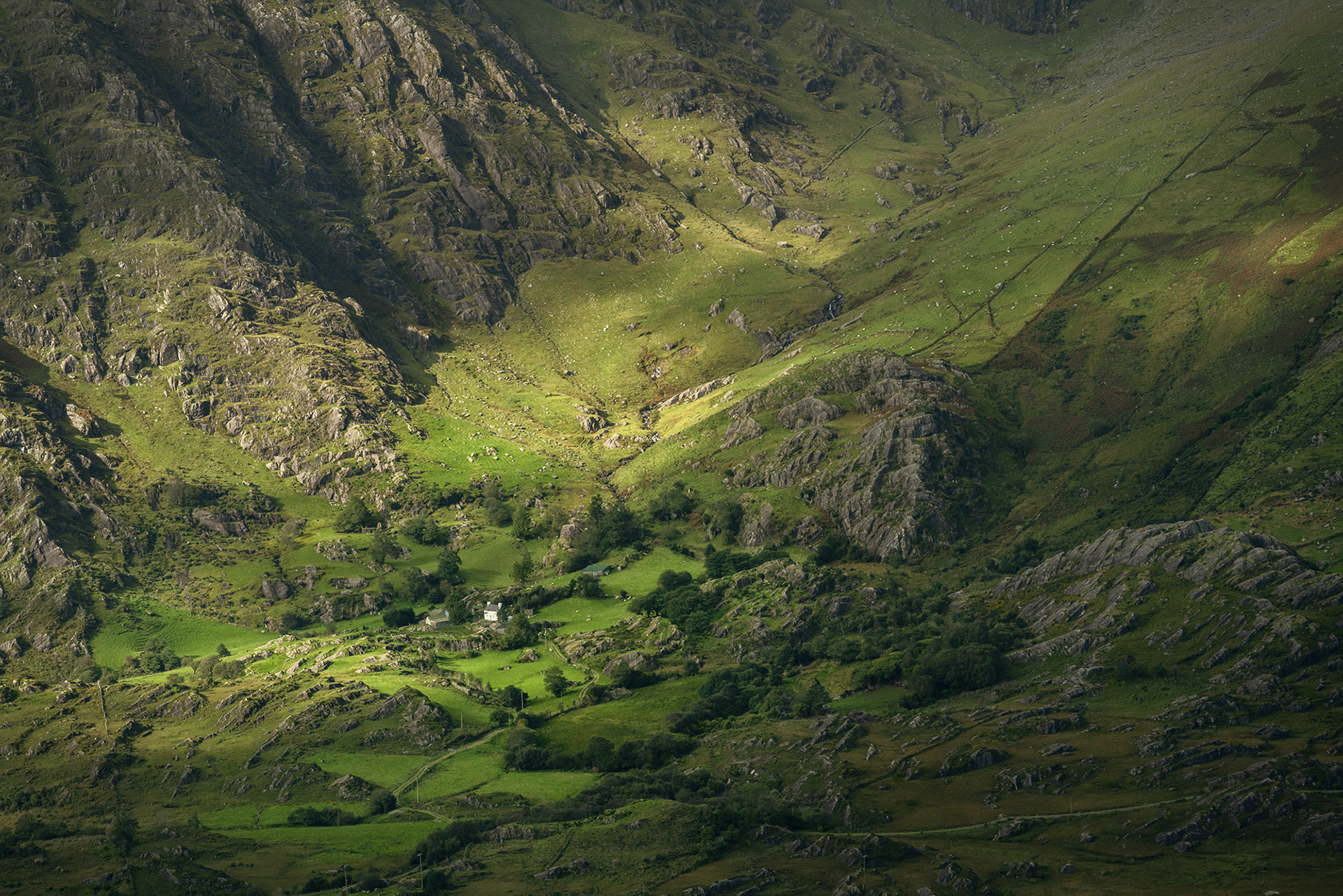 View from Healy Pass