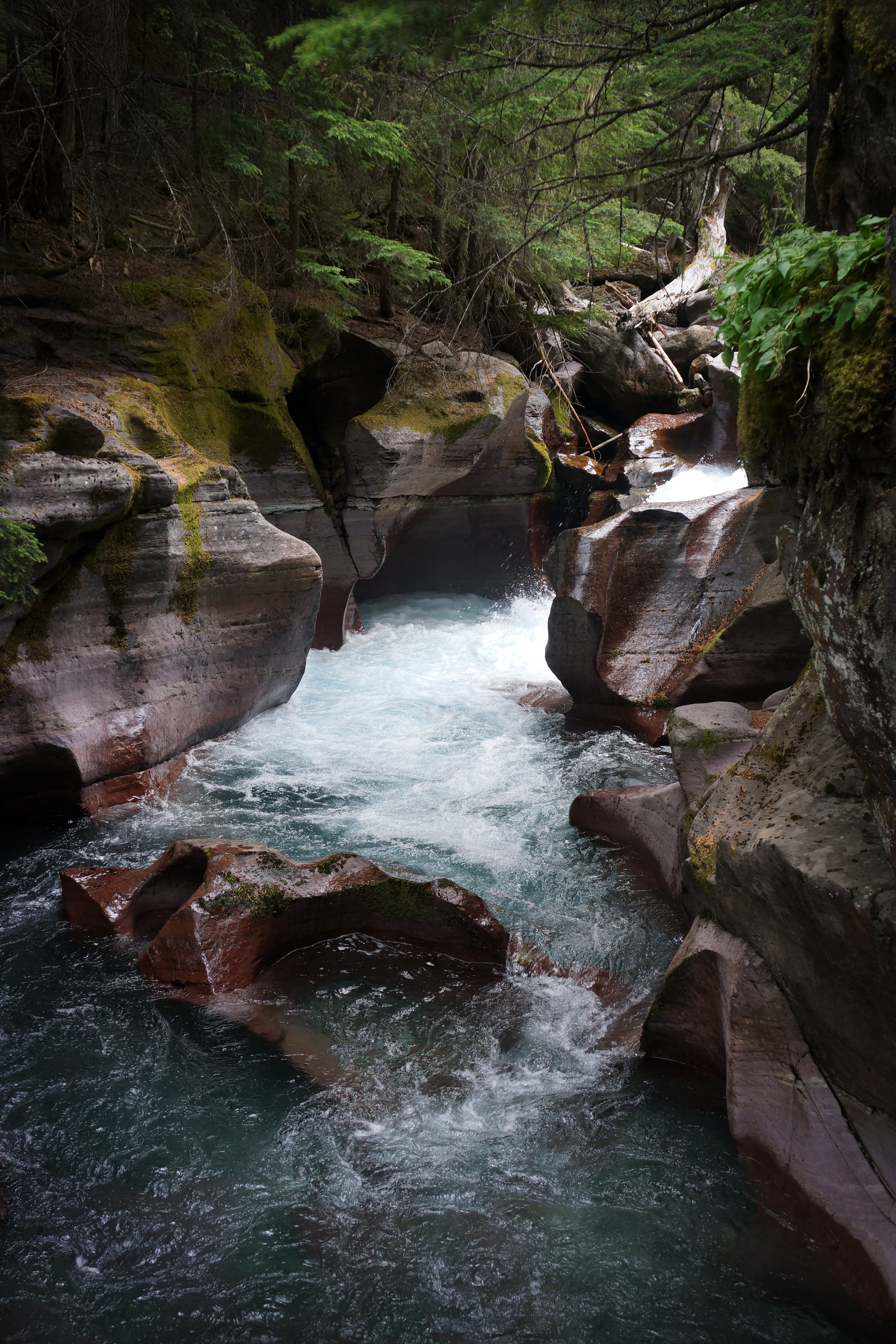 Avalanche Creek