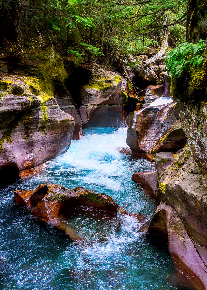 Avalanche Creek, Glacier NP