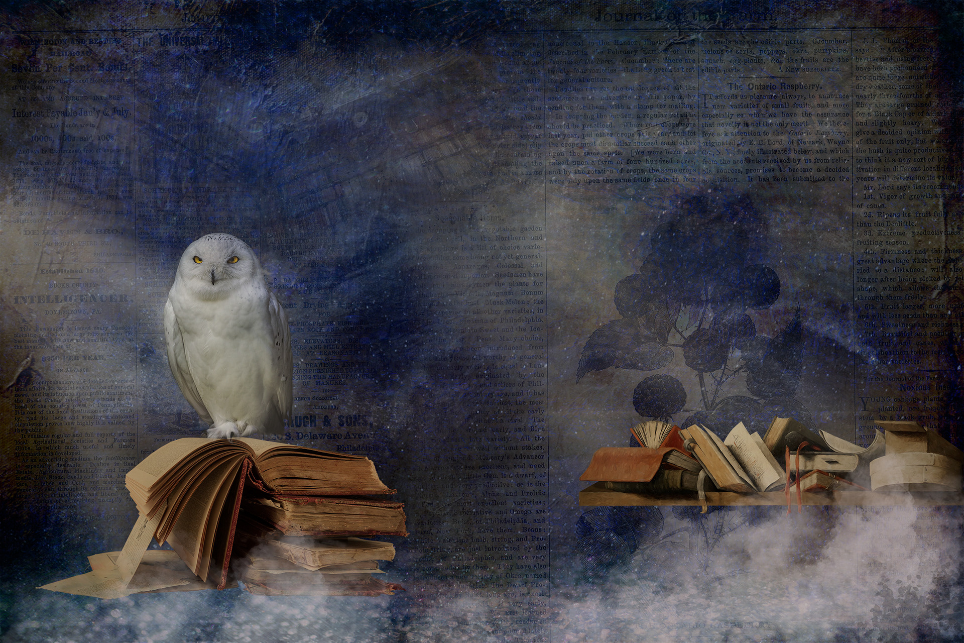 The Decipherer