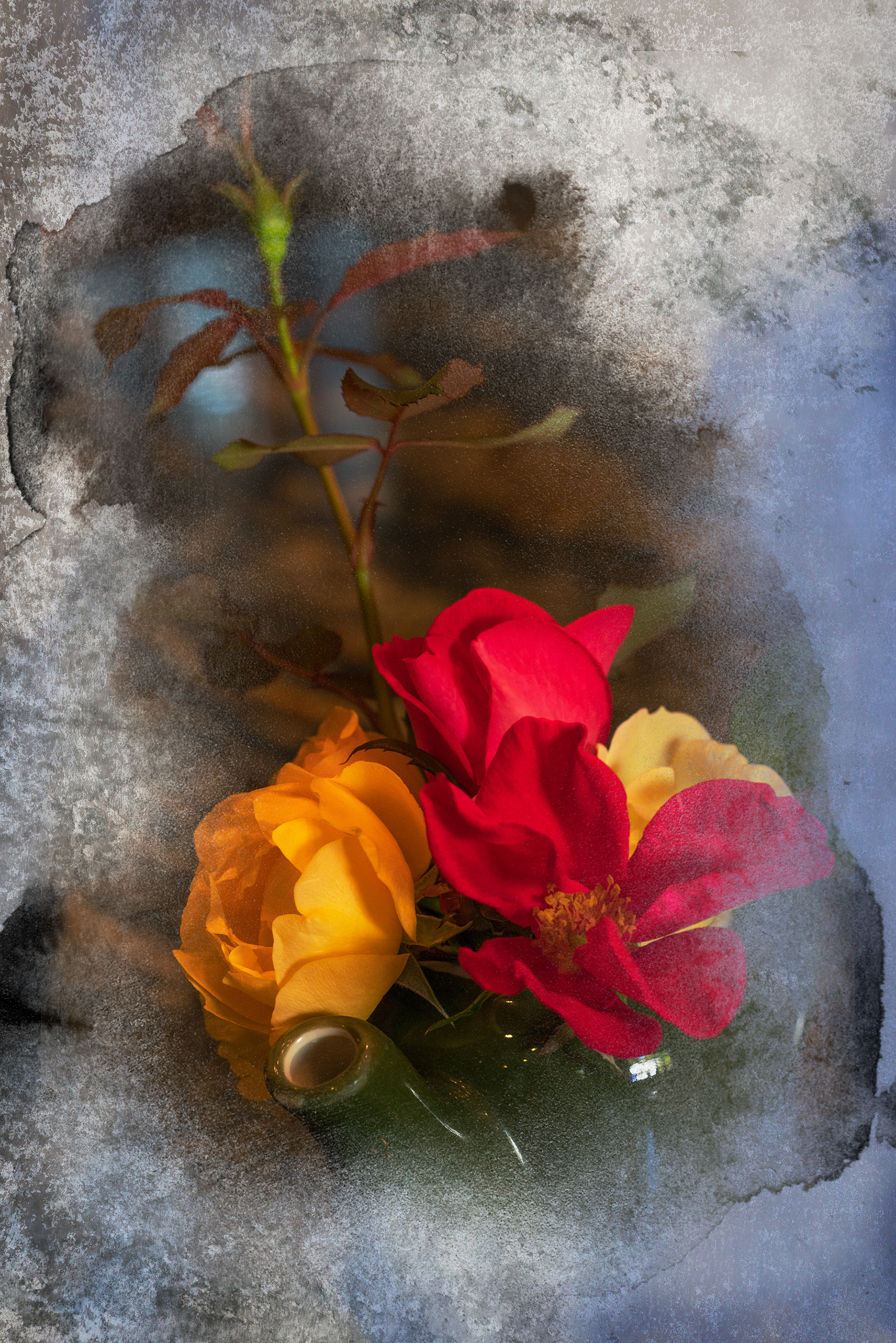 Roses