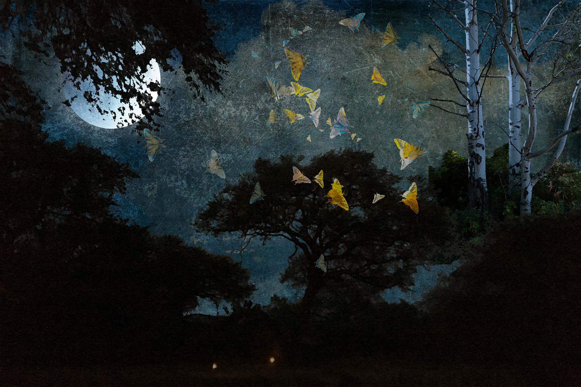 Moonlit