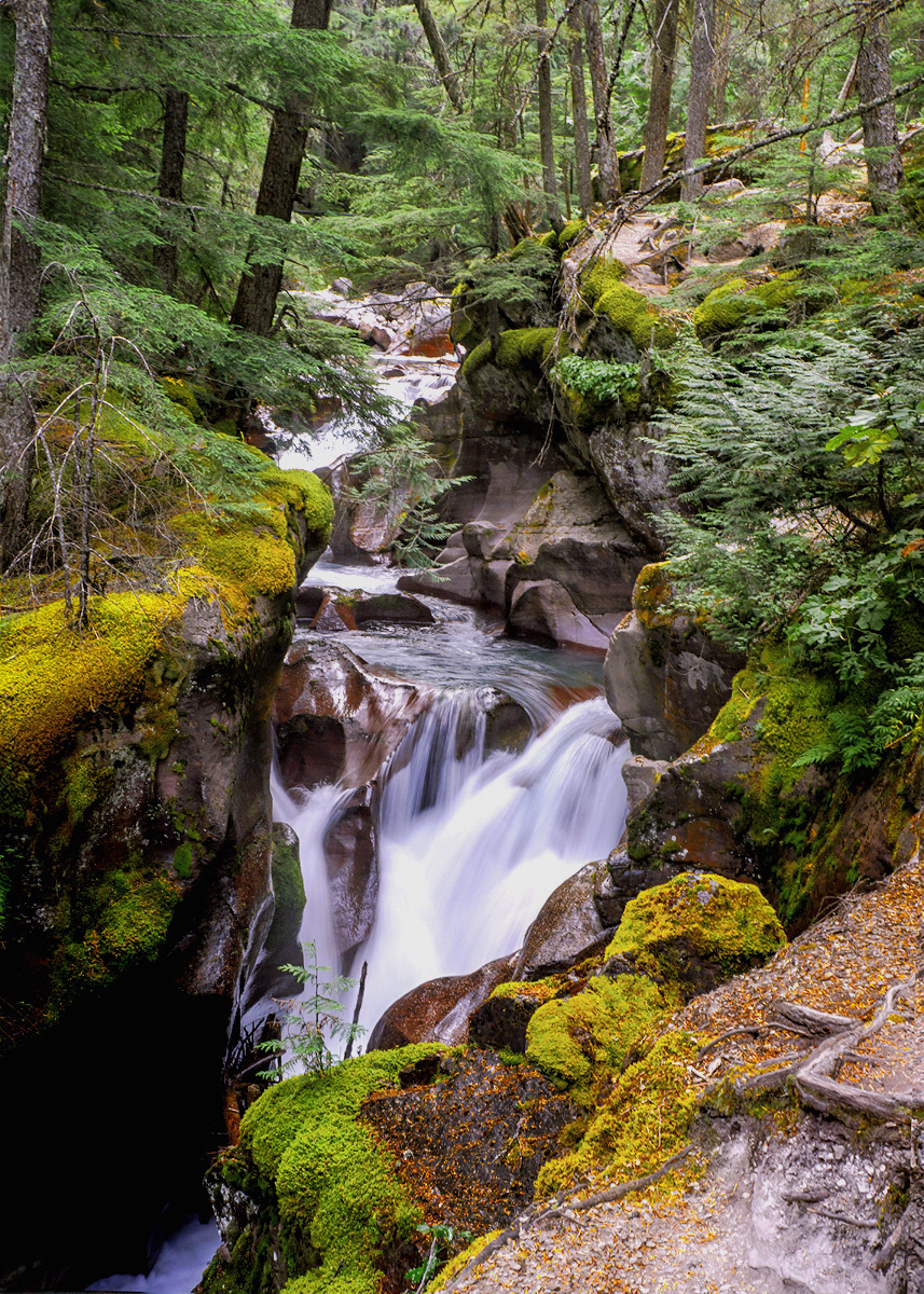 Avalanche Creek, Glacier NP