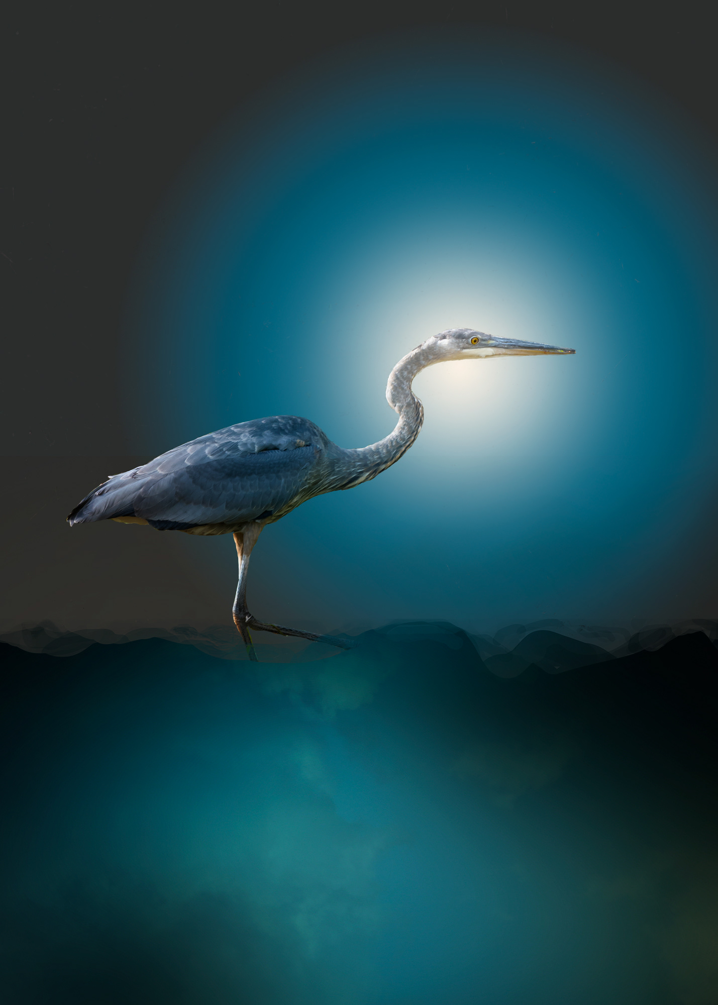 Heron 1