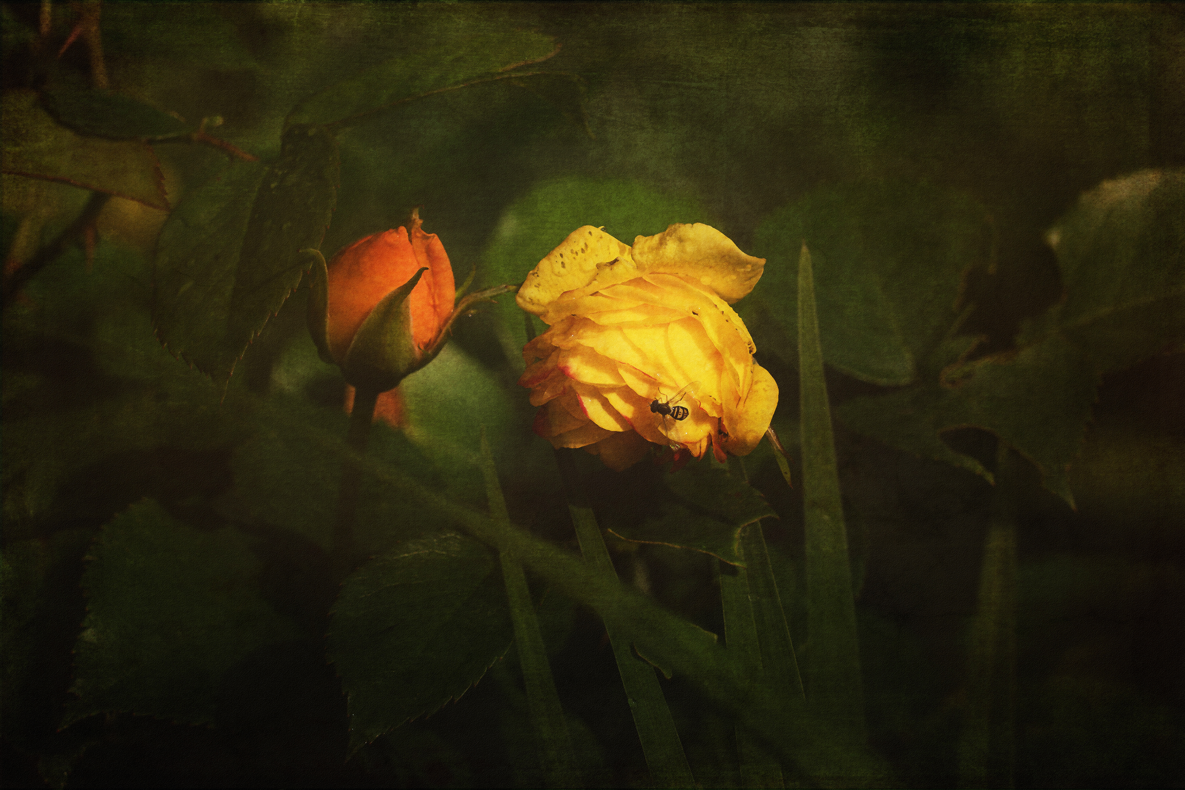 After the Rain