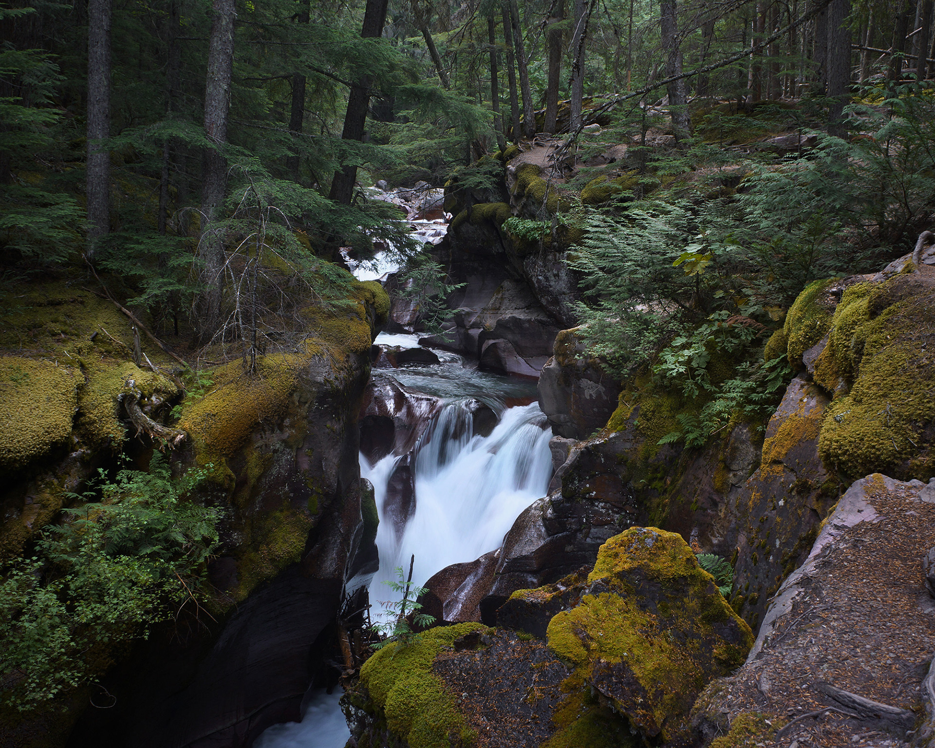Avalanche Creek Falls