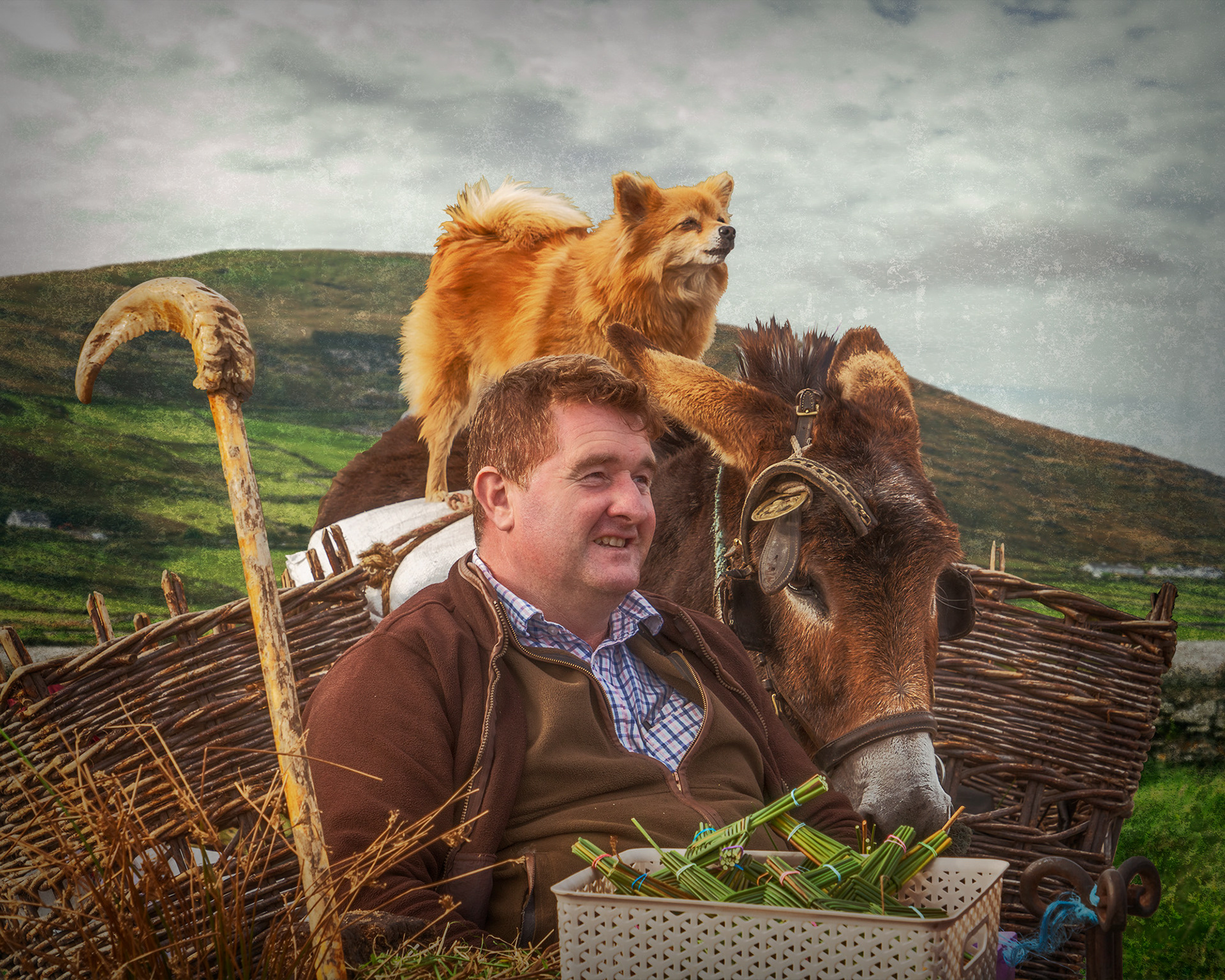 Man with Dog and Donkey