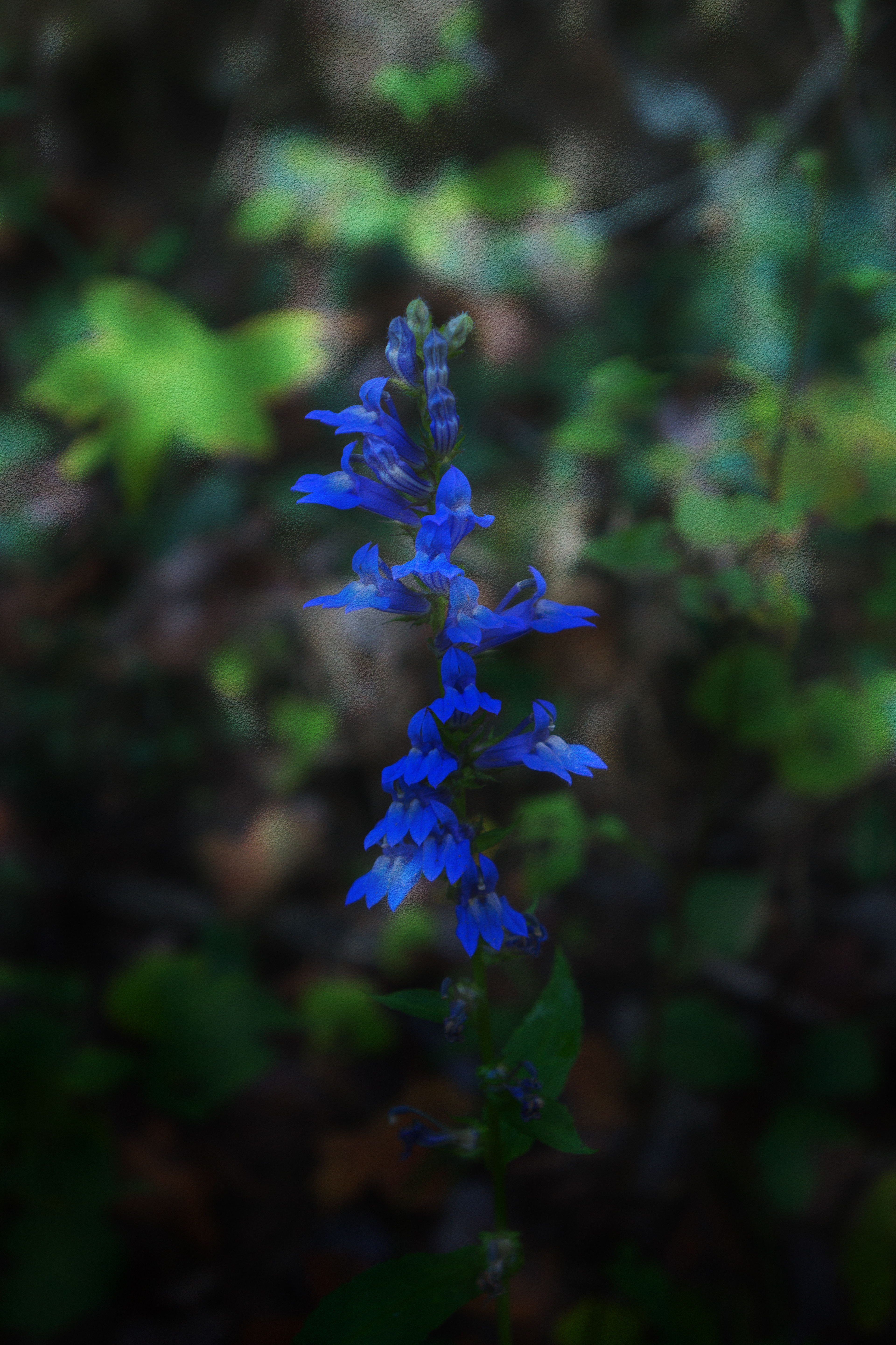 Shot of Blue