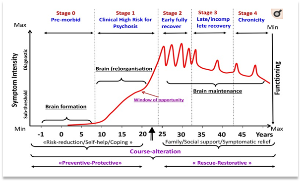 Onset and progression of psychosis in relation to the developmental processes affected by the disorder (Milan,2016)