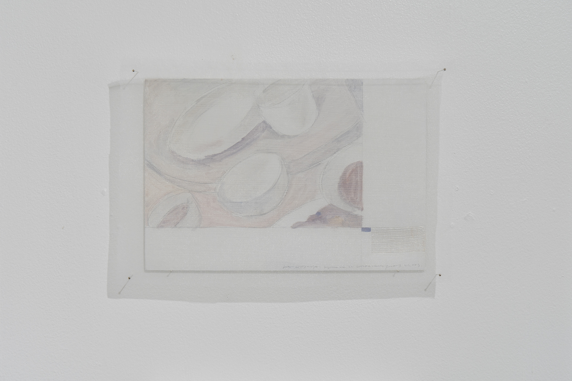 160x235mm oil.mica.gesso.pencil.organdy
