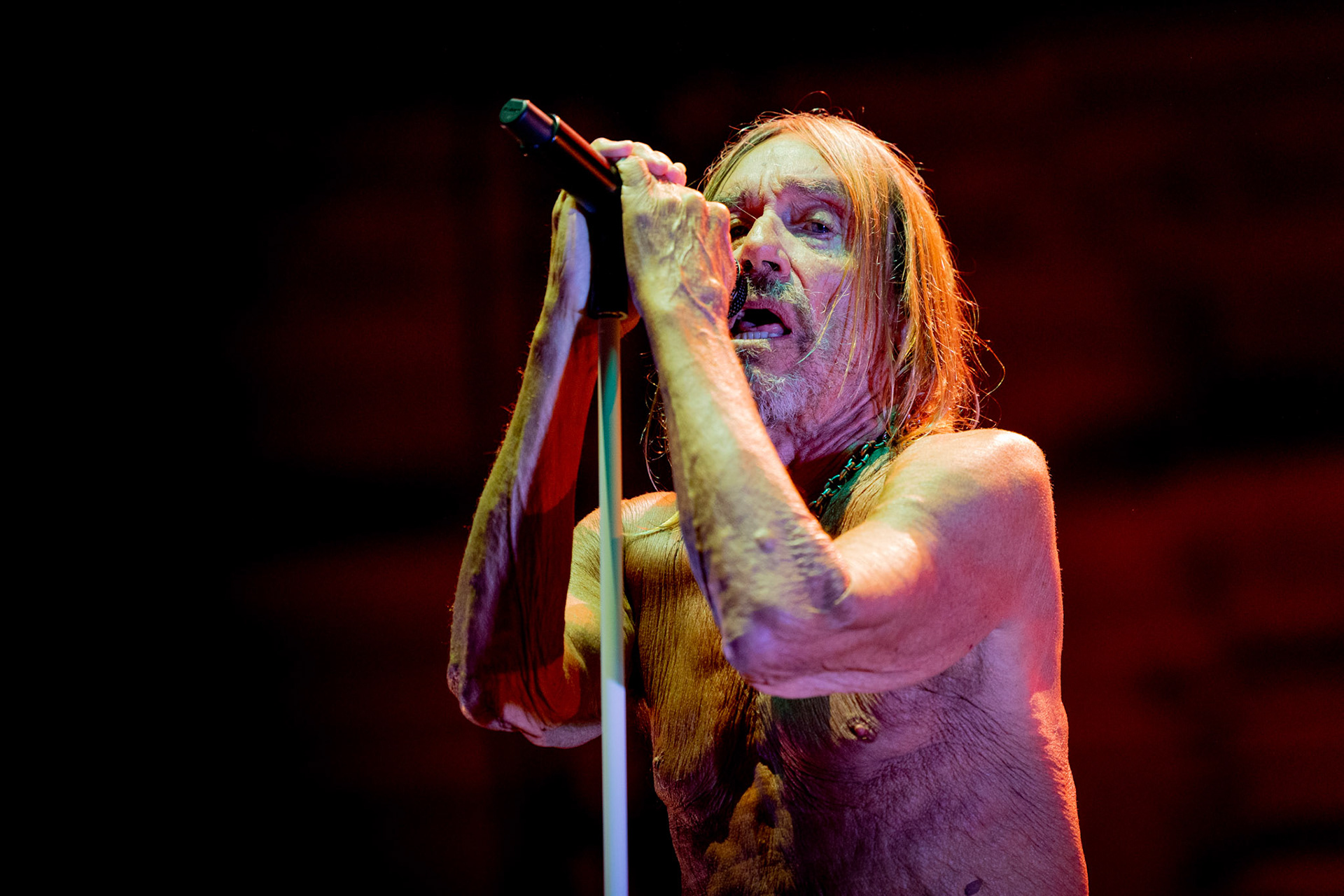 Iggy Pop - Mantova 2022