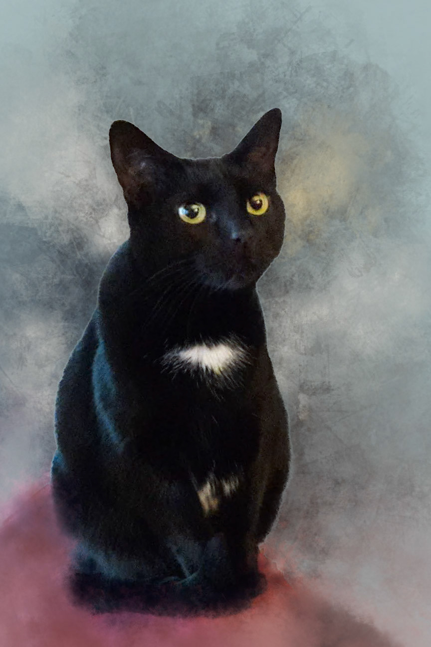 Dot