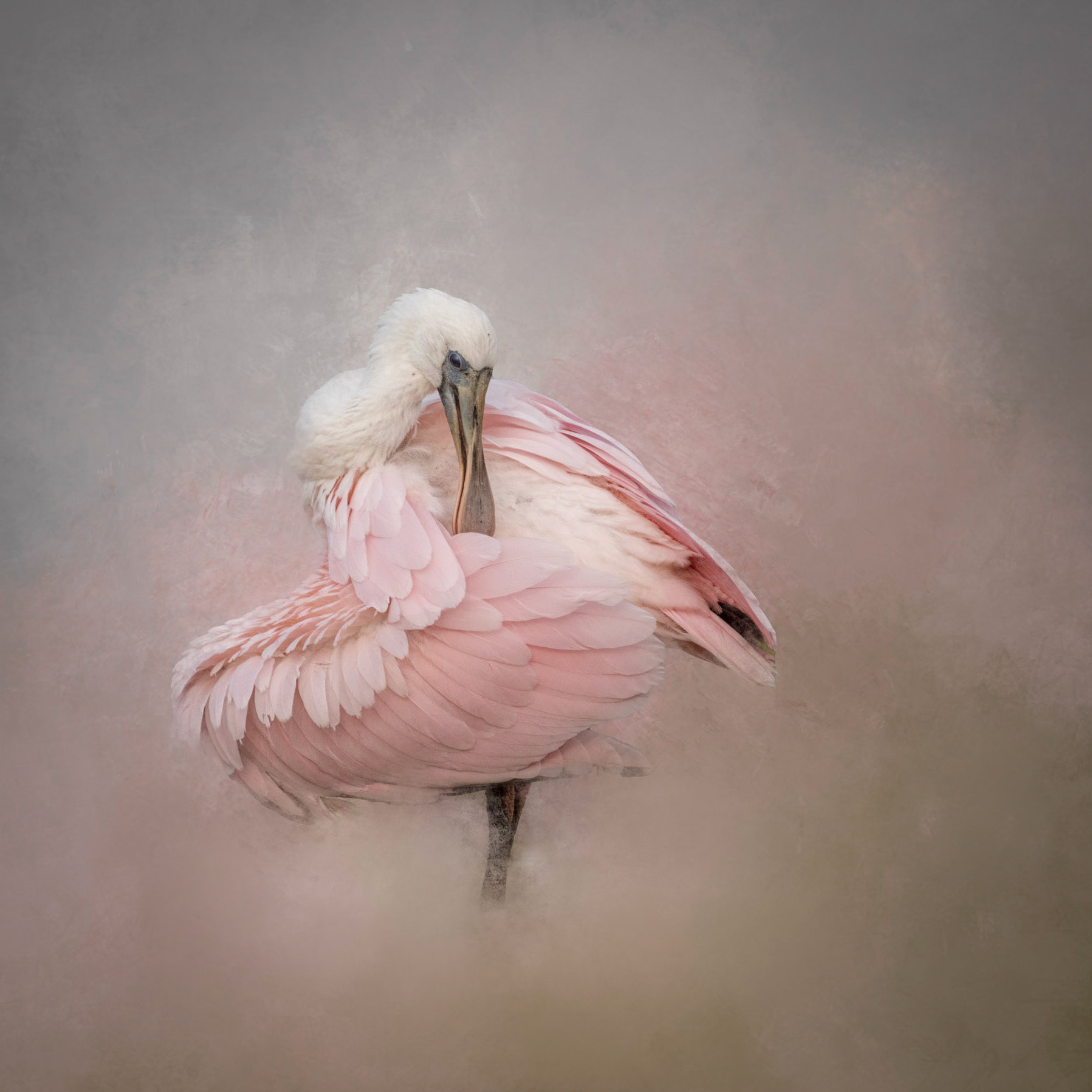 Second Place - Creative Category