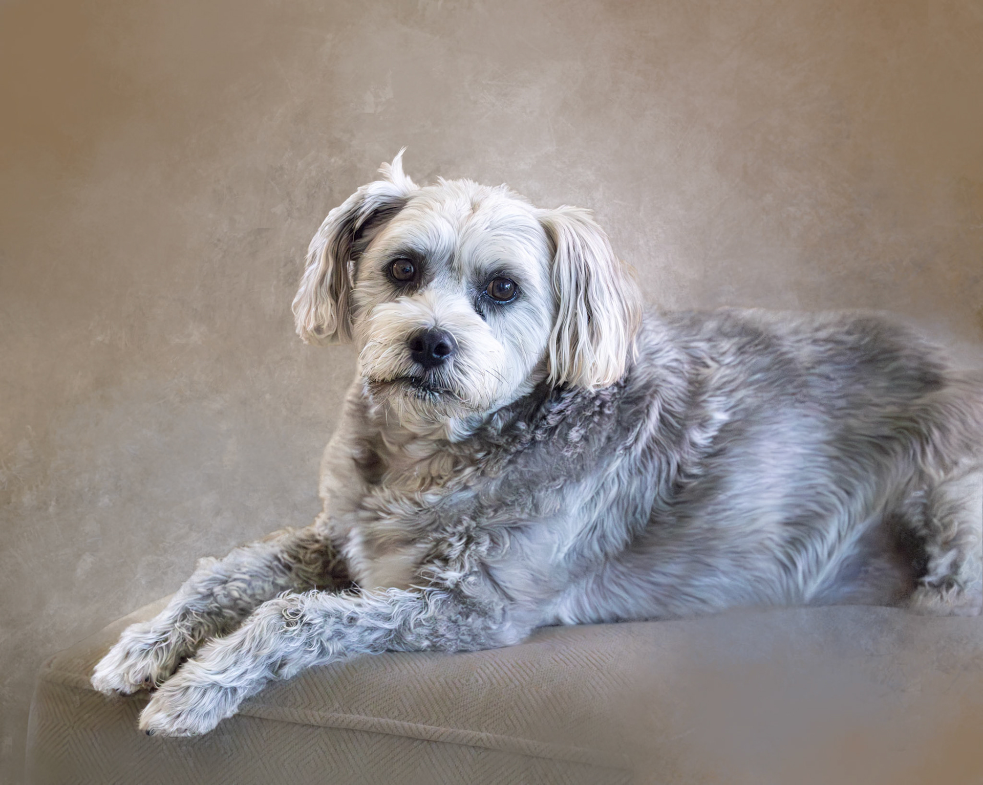 Baxter