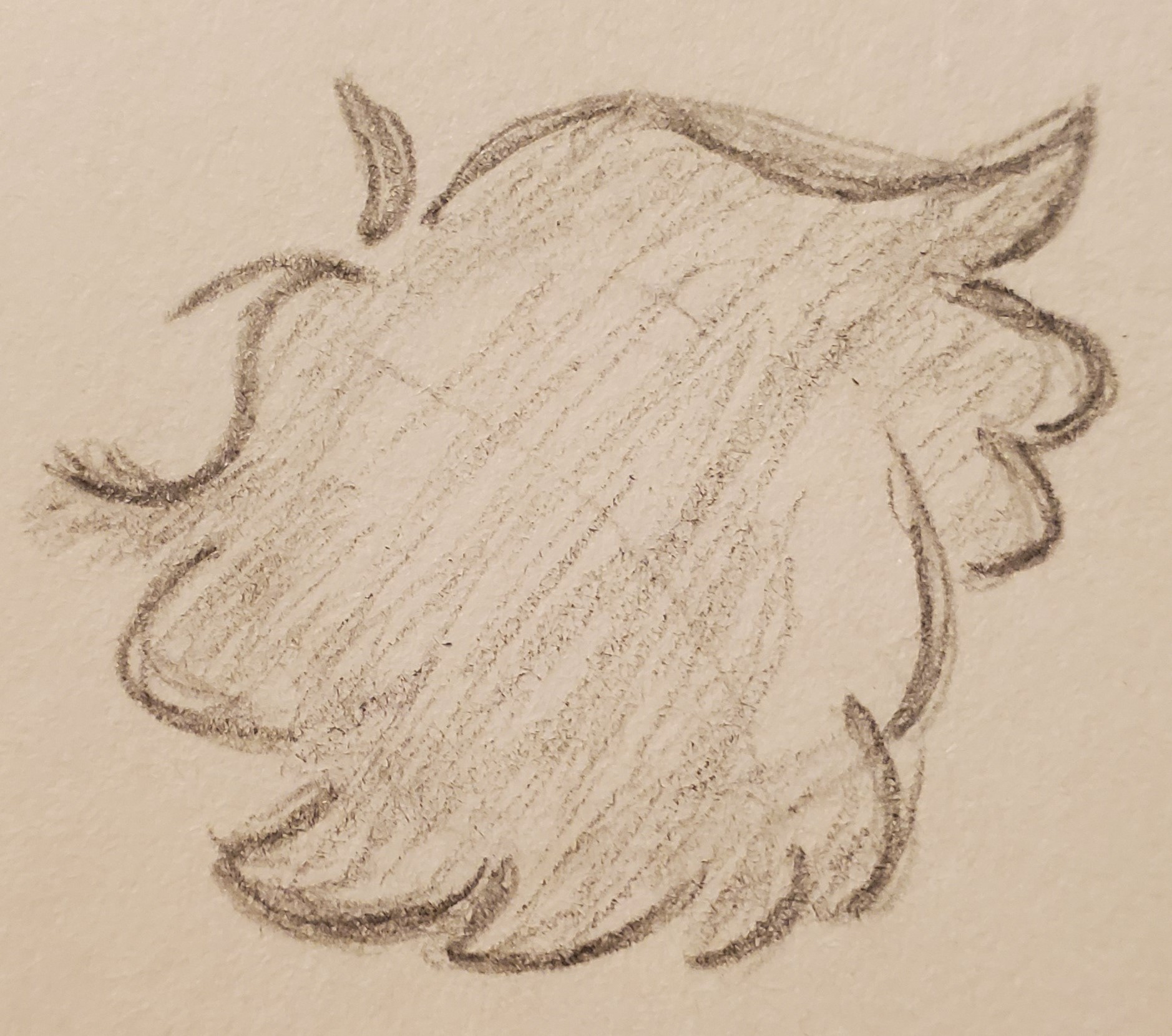 Player Character Concept