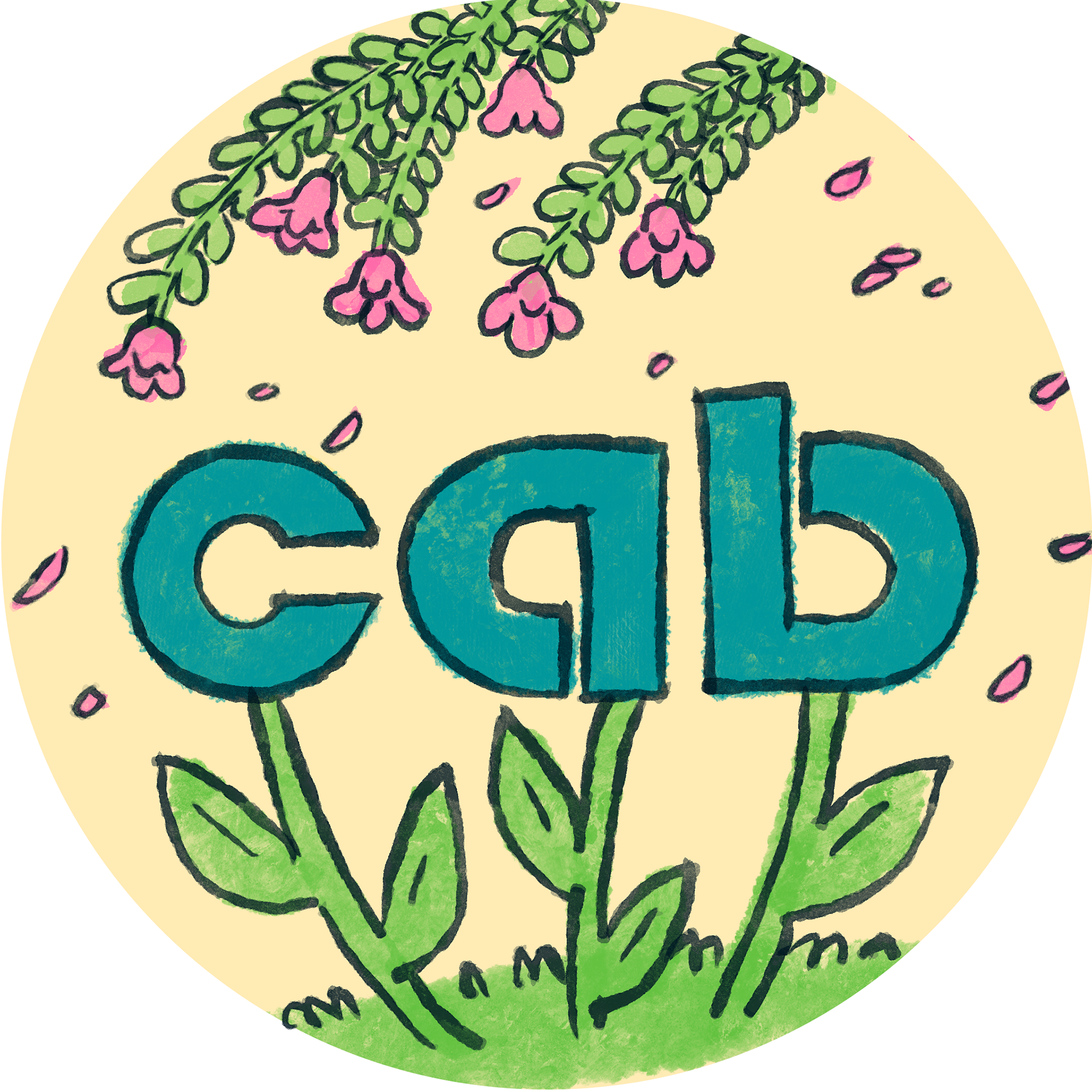 CAB - Spring