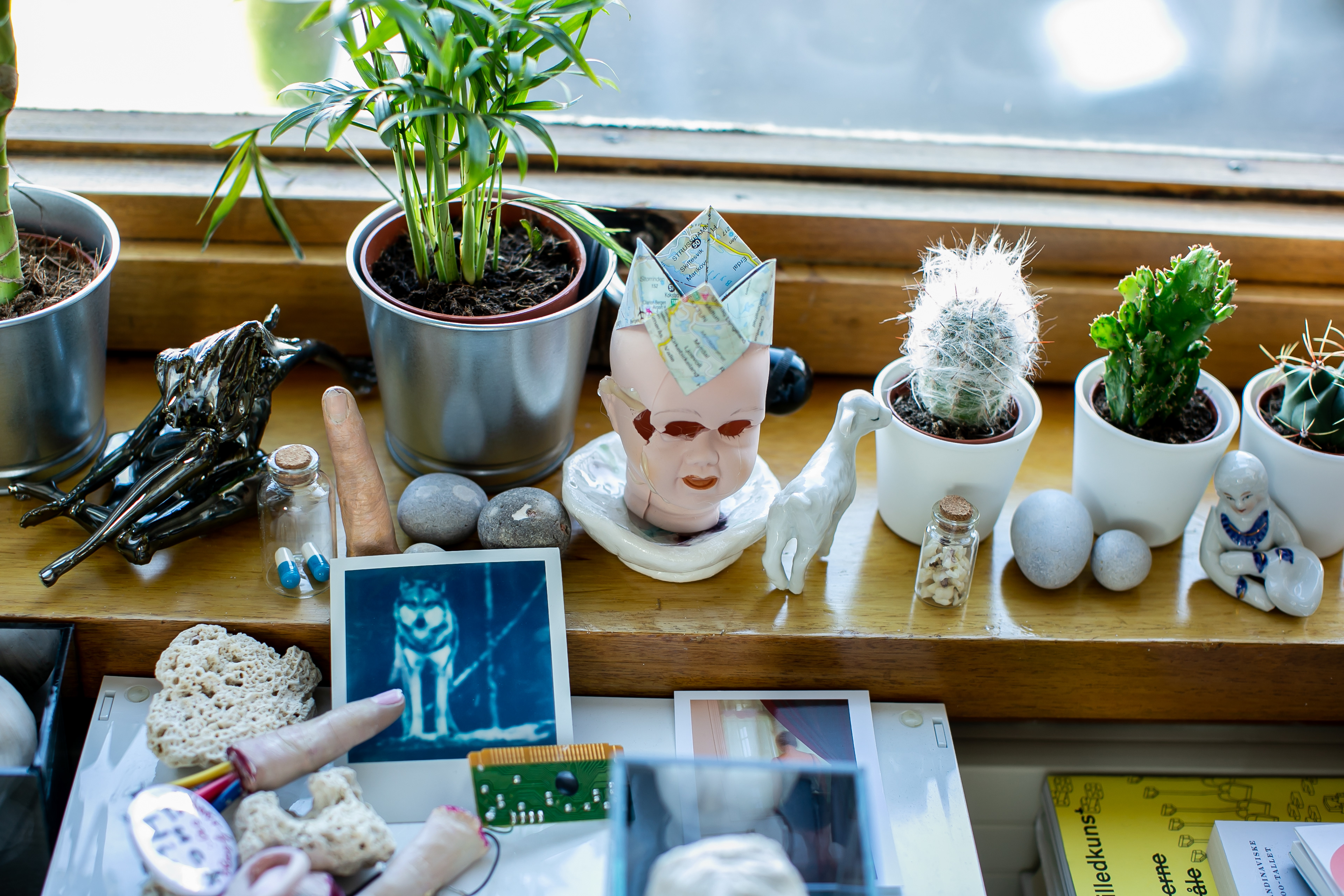 foto: Tove Lise Mossestad
