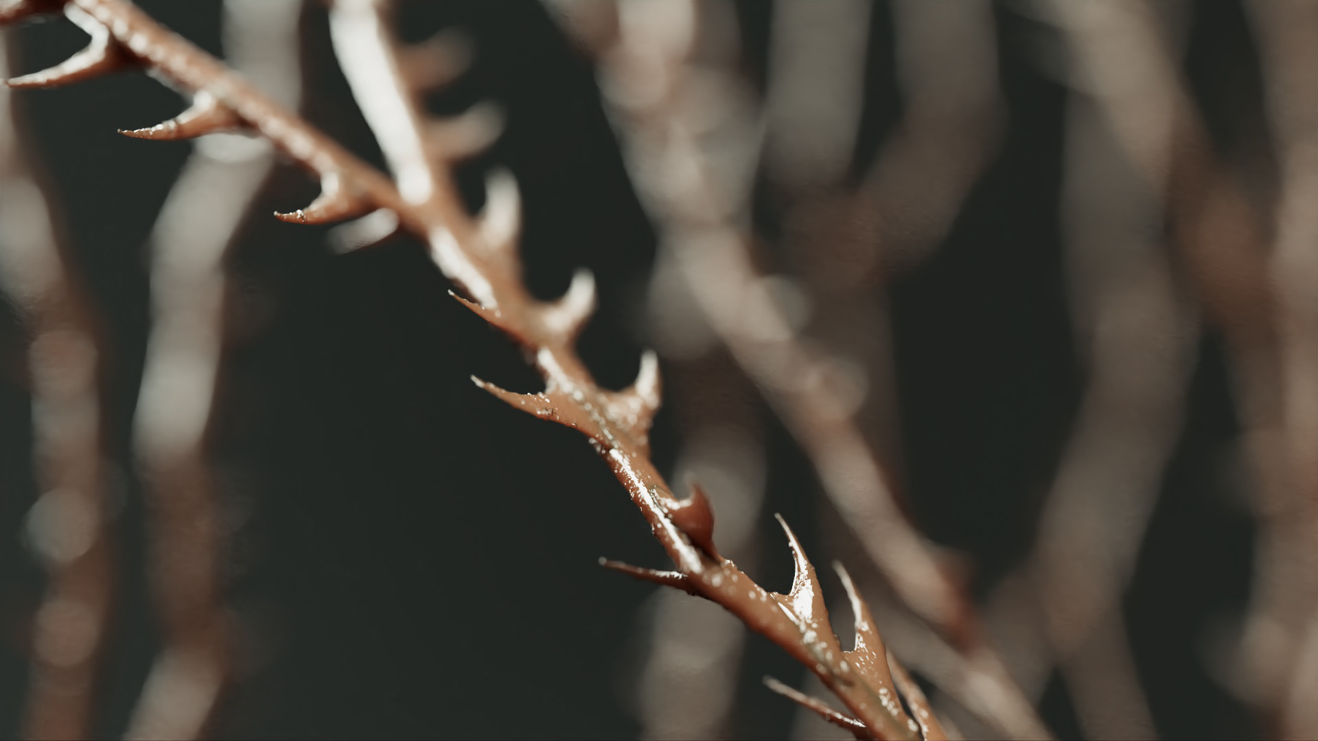 Rnd / Modeling/ LookDev/ Render/ Lighting