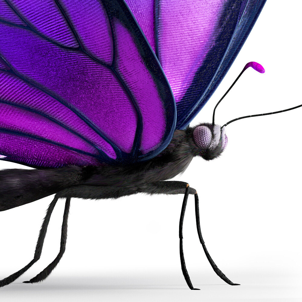 Telus - Texturing/ LookDev/ Render/ Lighting