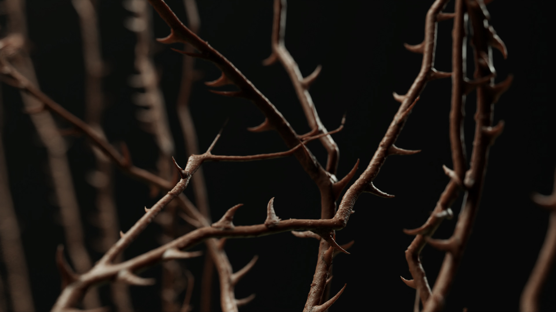 Rnd / Modeling/ LookDev/ Render/ Lighting