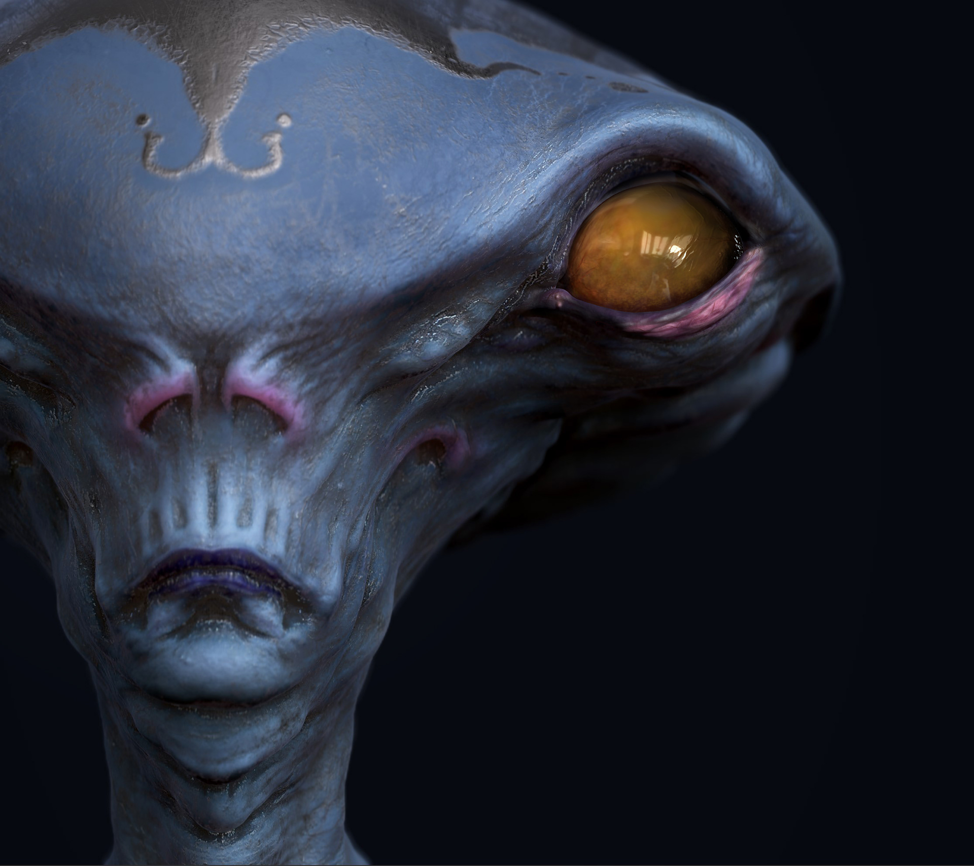 MODELING/SCULPTING STUDY