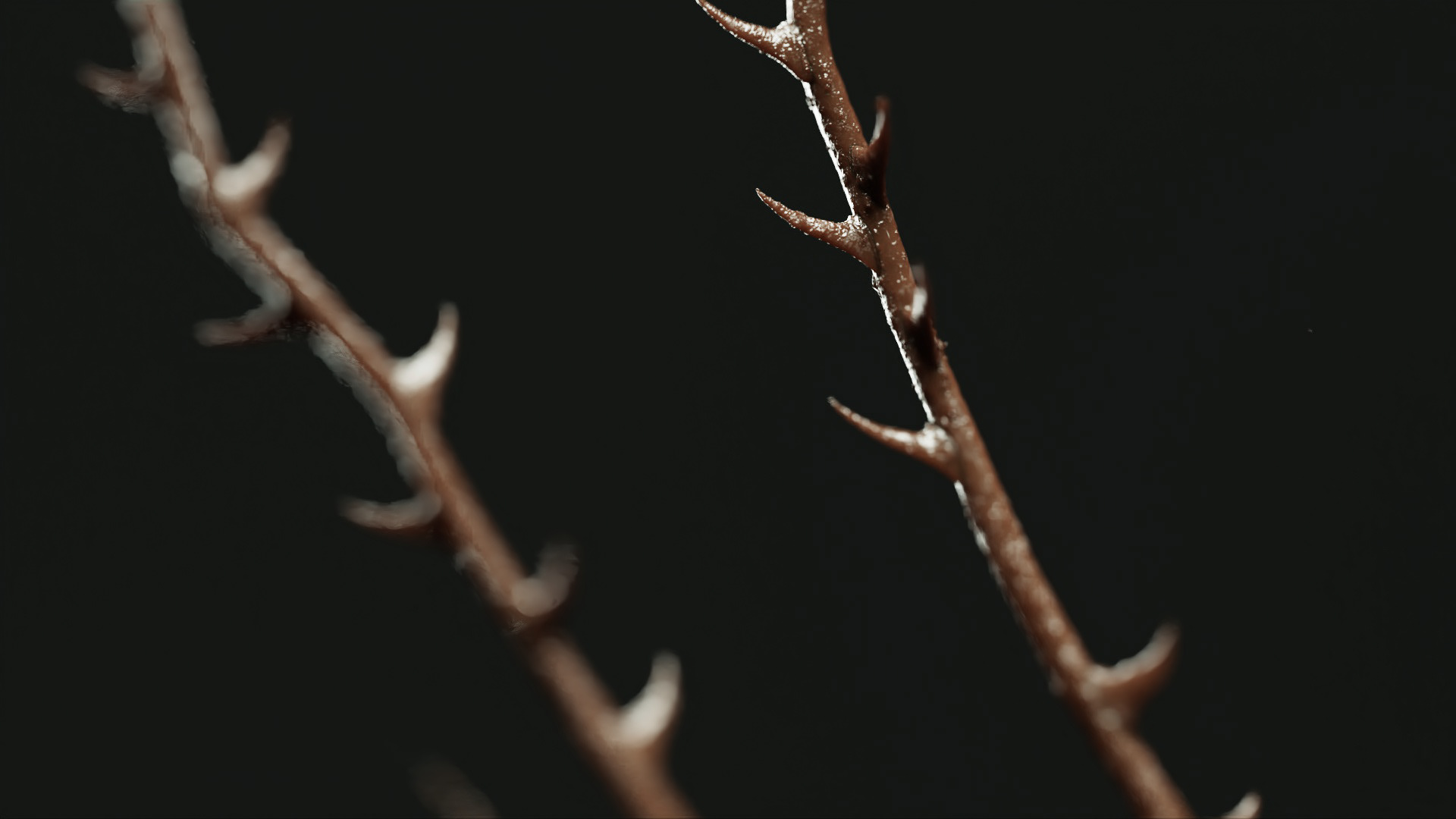 Rnd / Modeling/ LookDev/ Render/ Lighting