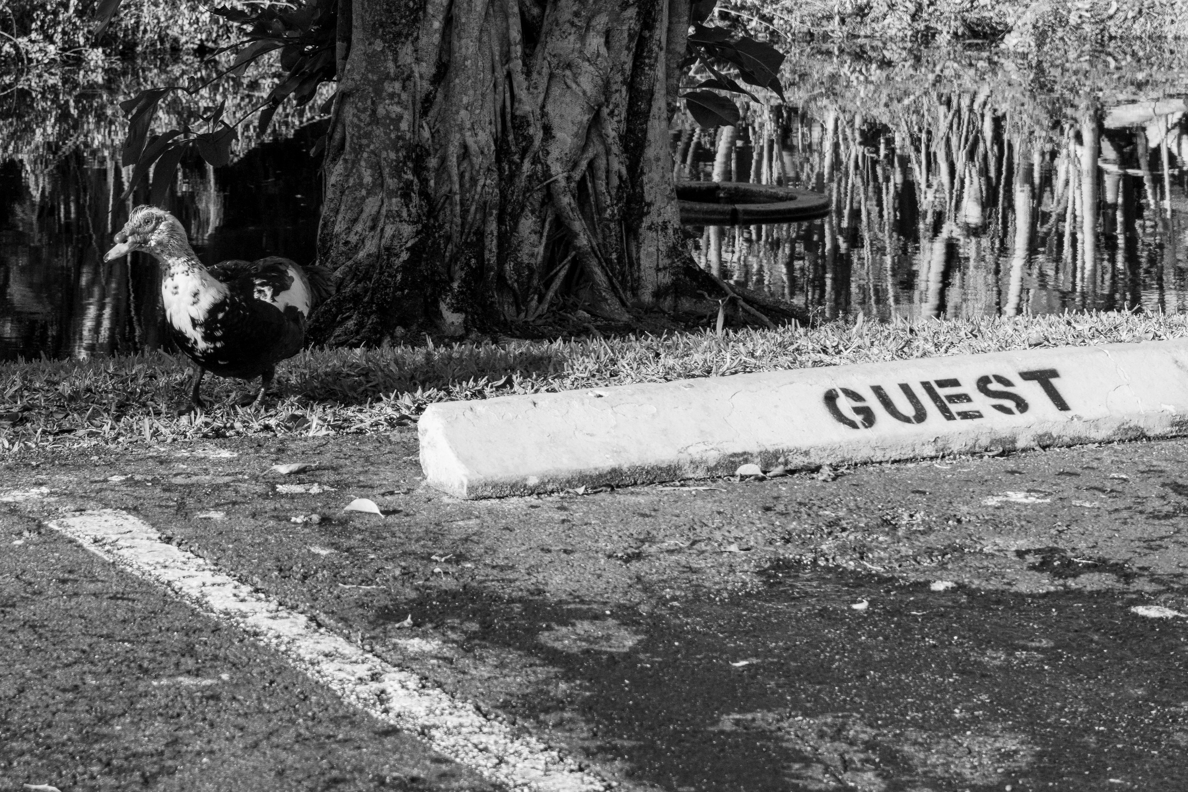 70 mm  f/10  1/1250 sec  ISO 2500