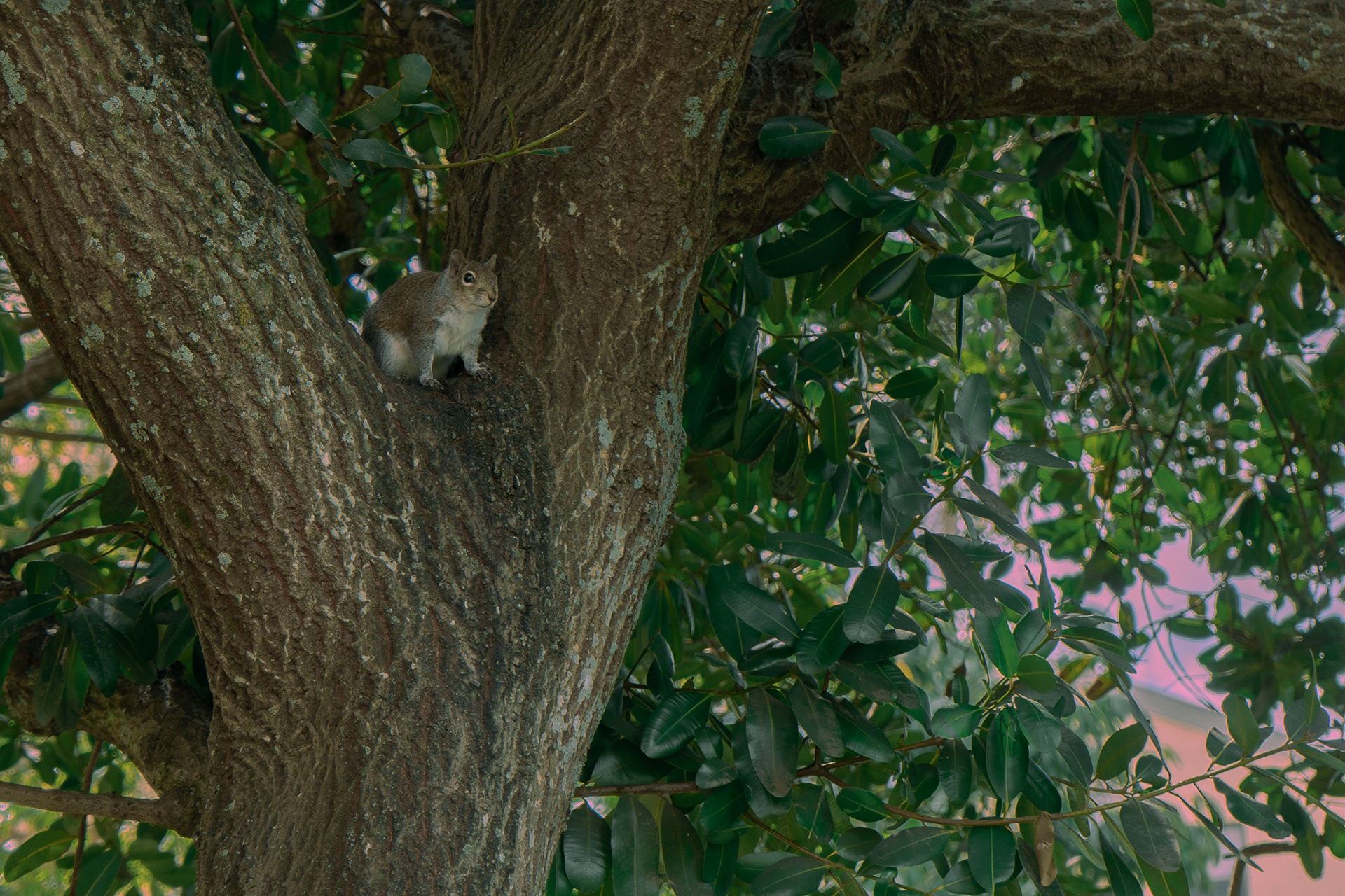 70 mm  f/5.6  1/250 sec  ISO 160