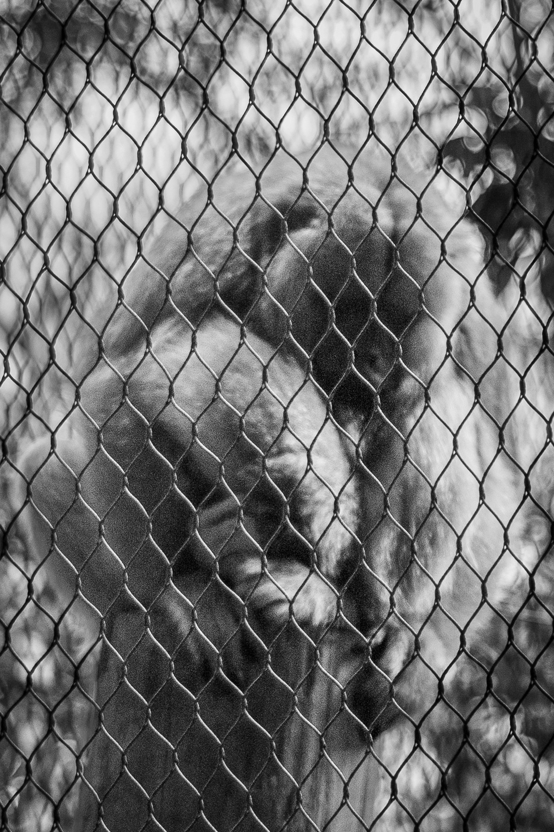 50 mm  f/1.8  1/640 sec  ISO 200