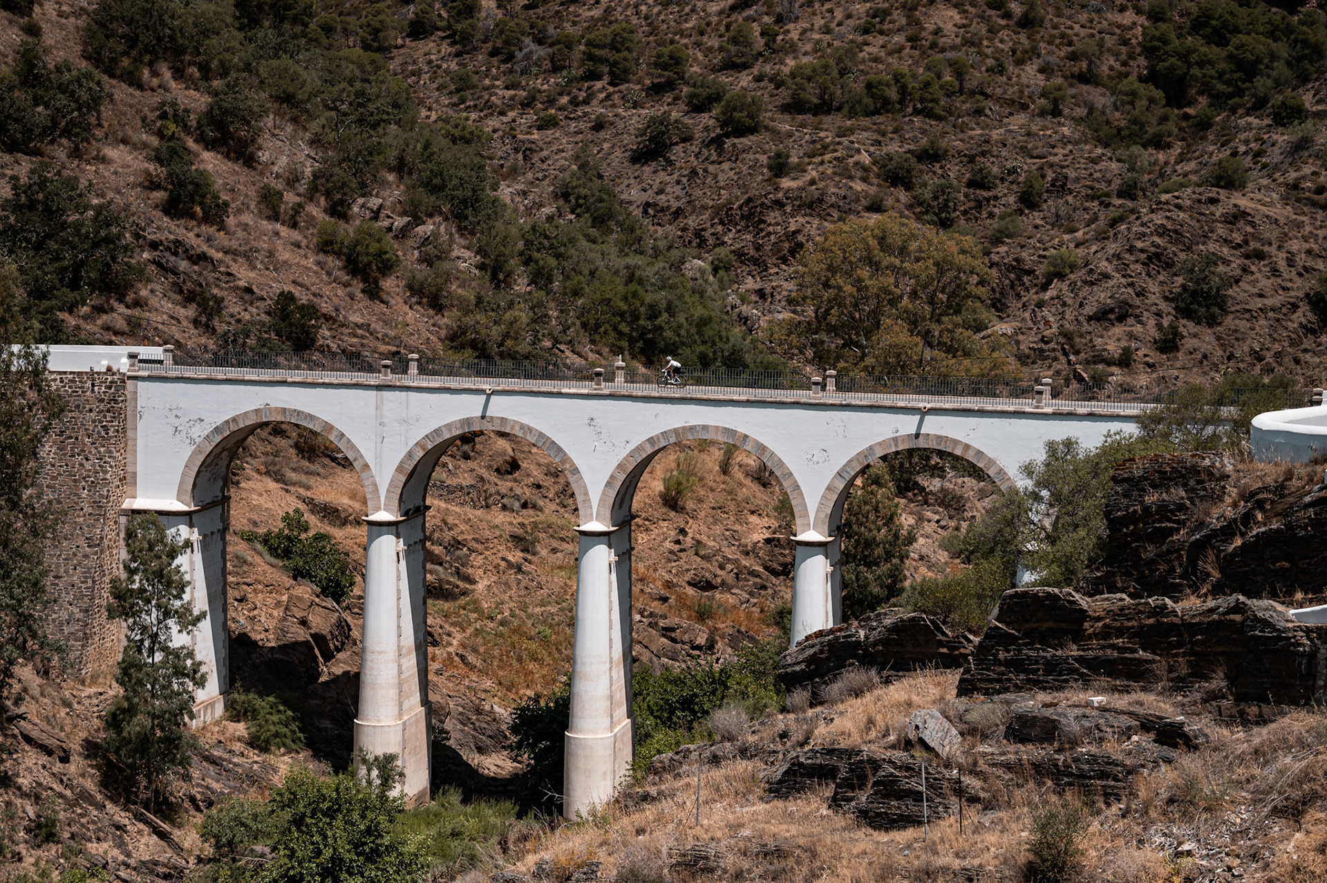 Grandiagonal 2026