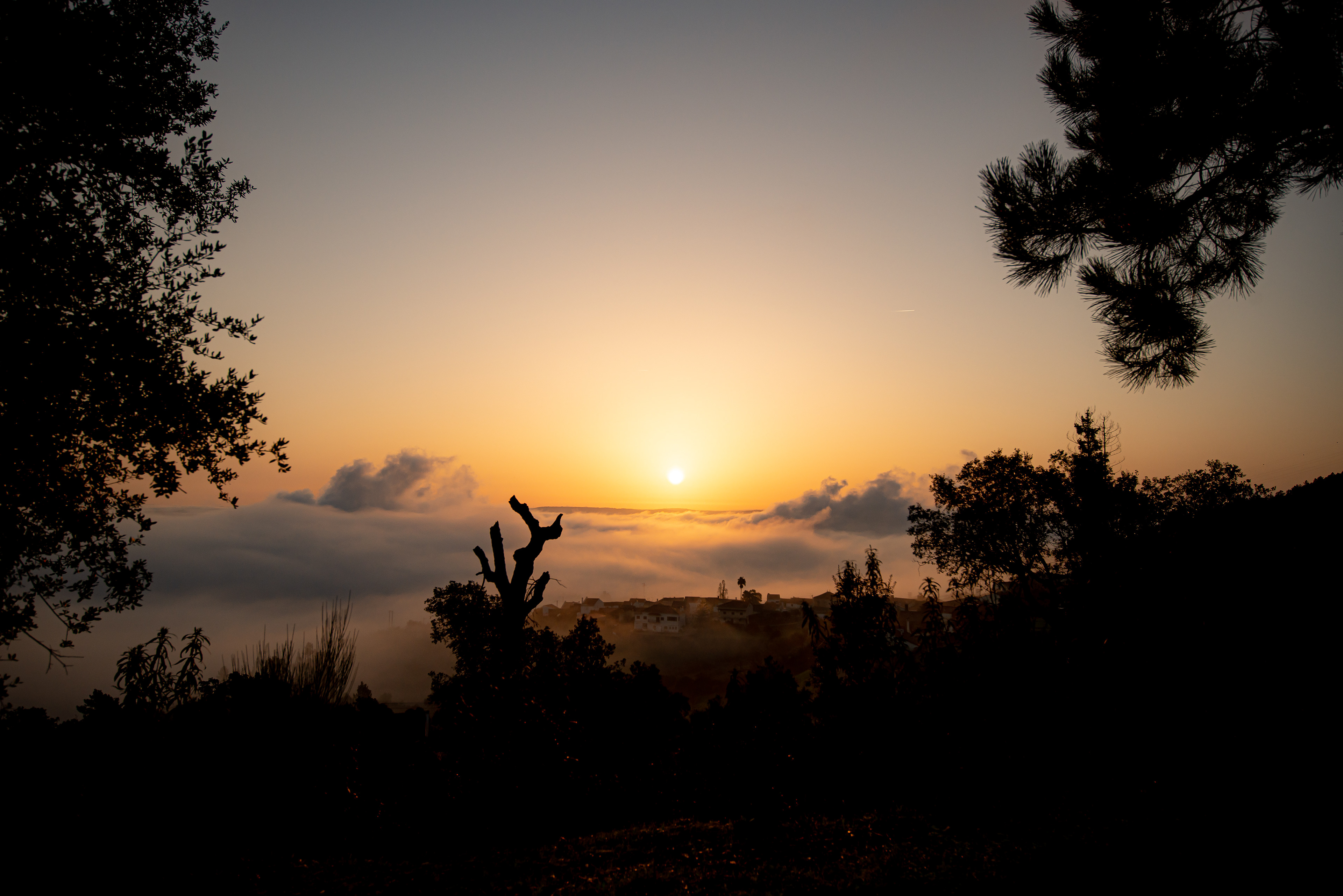 Portugal - Tejo International Natural Park