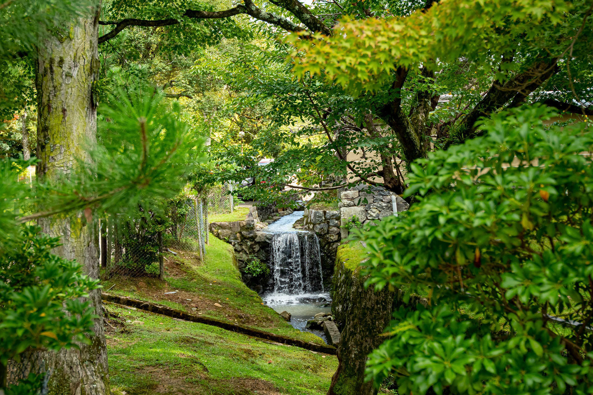 Japan - Nara