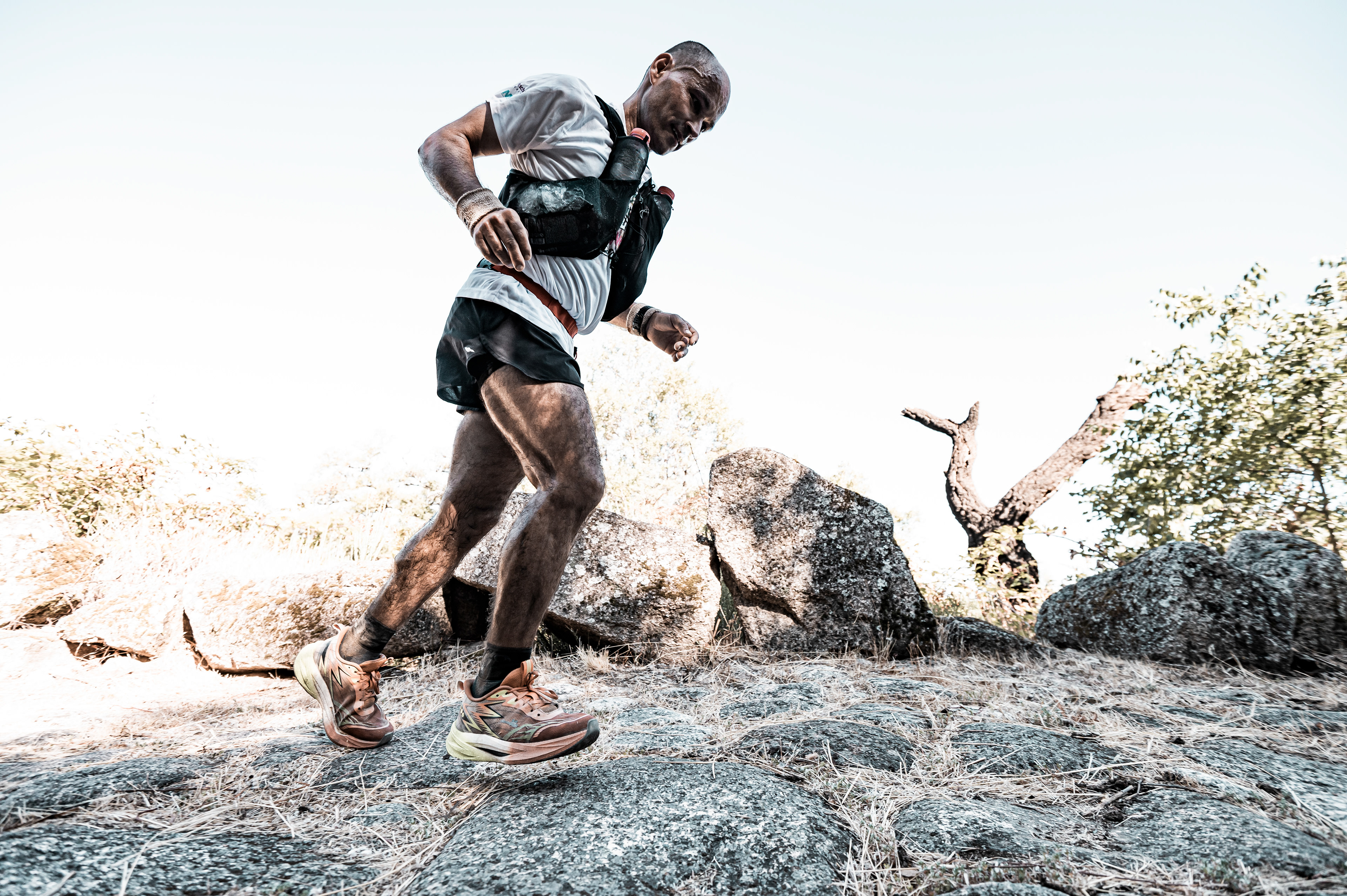PT281 Ultramarathon