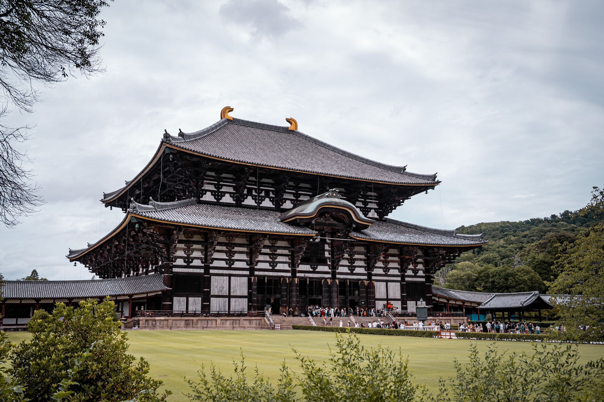 Japan - Nara
