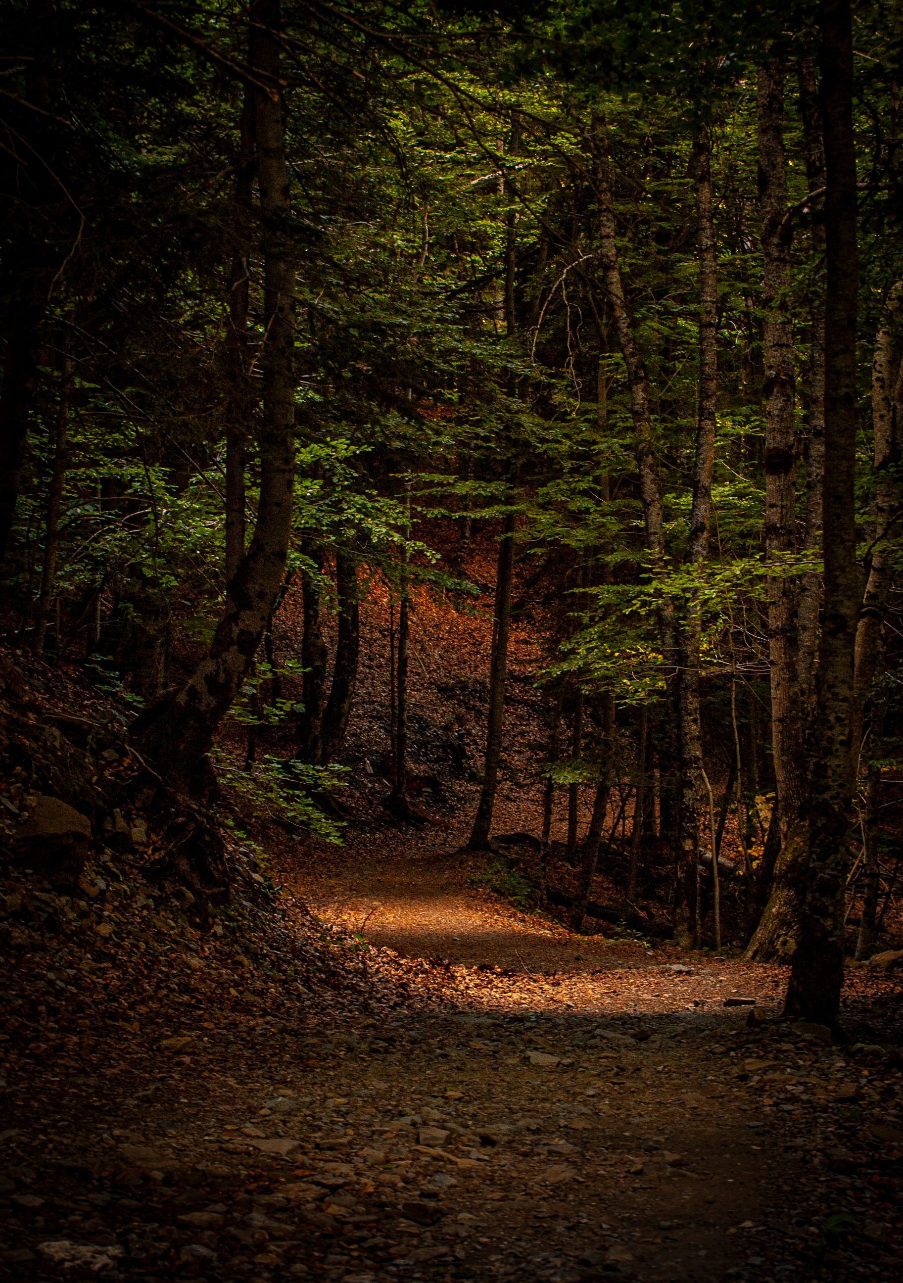 Spain - Ordesa y Monte Perdido Natural Park