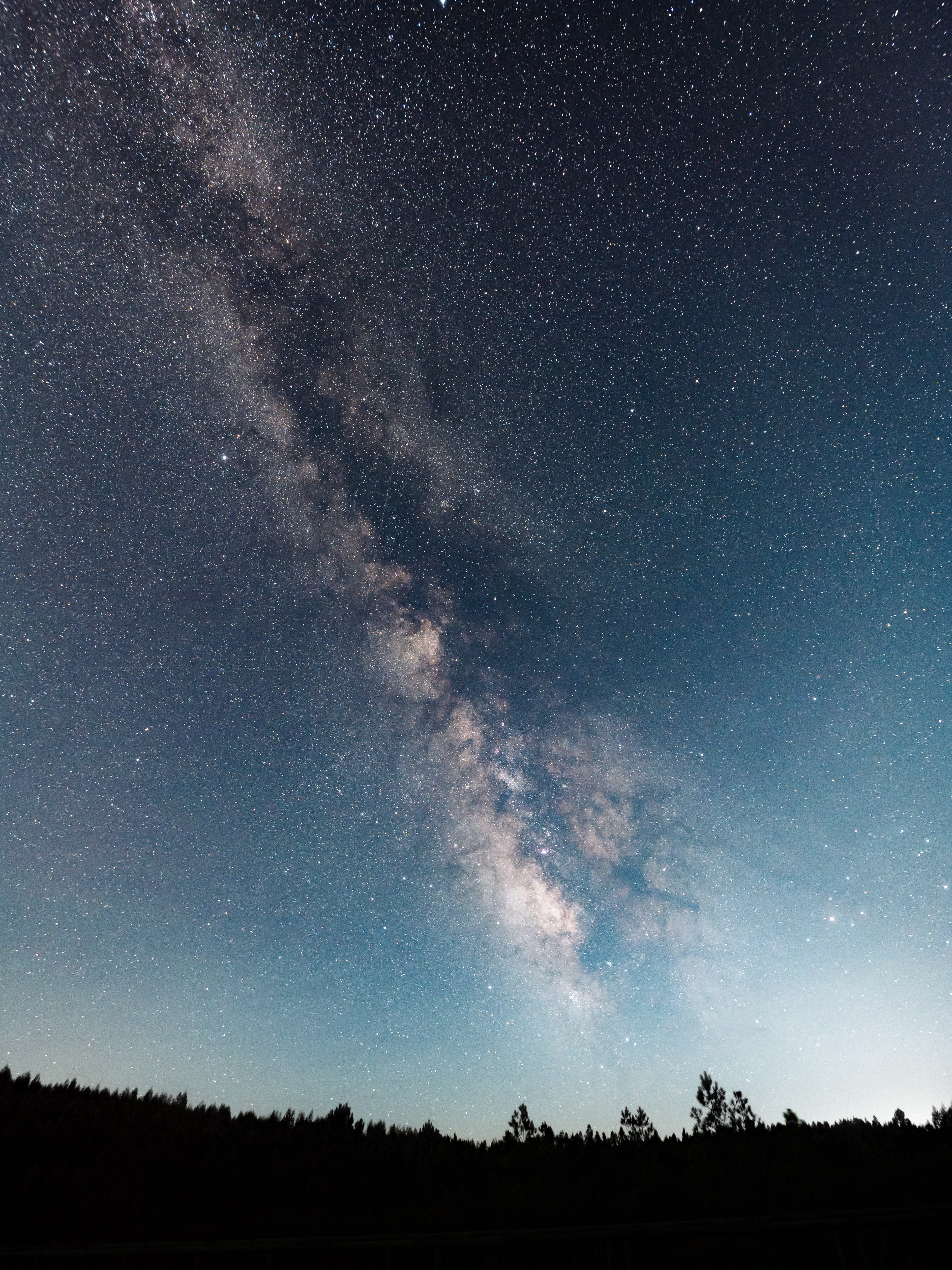 The Milky Way