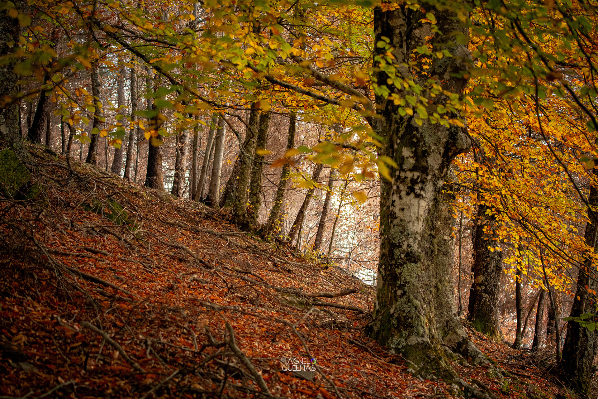 Portugal - Serra da Estrela Natural Park