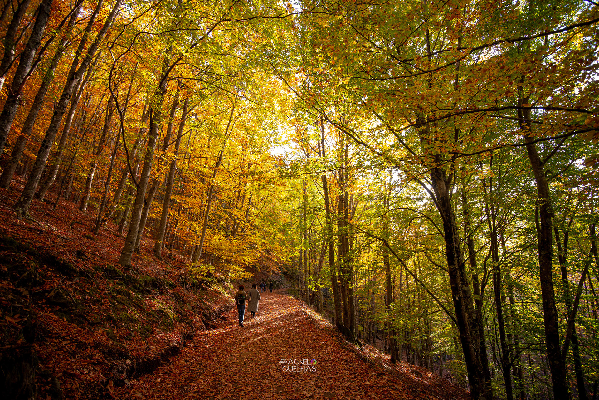 Portugal - Serra da Estrela Natural Park