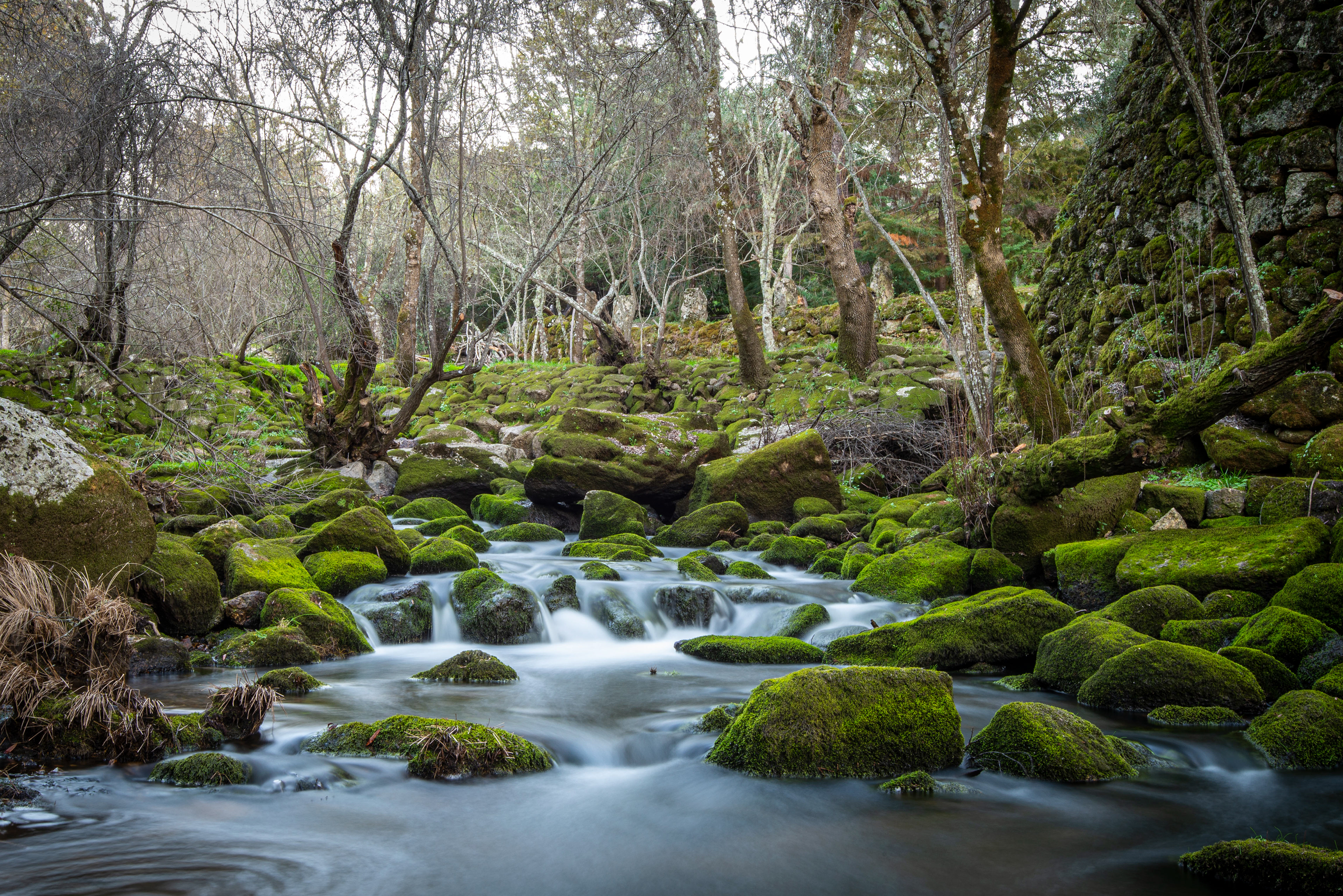 Portugal - Ocreza river