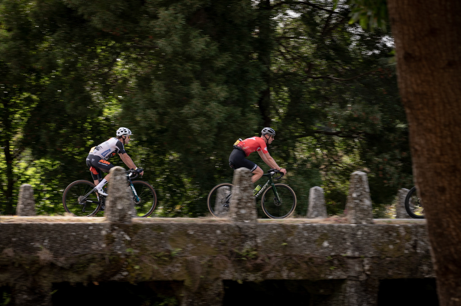 L'Étape Portugal by Tour de France