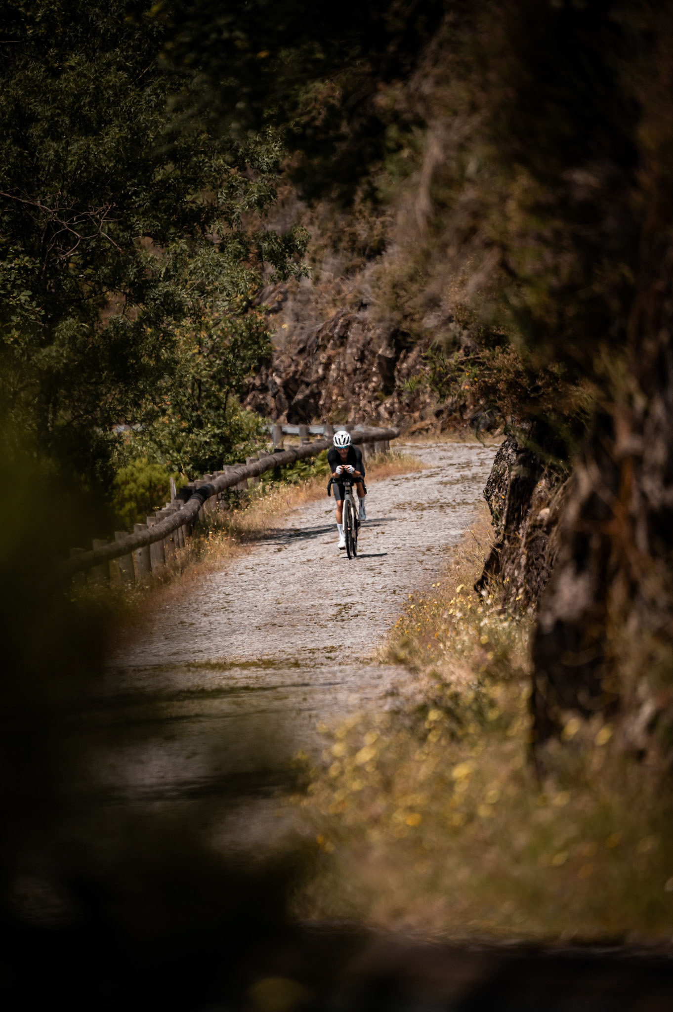 Grandiagonal 2026