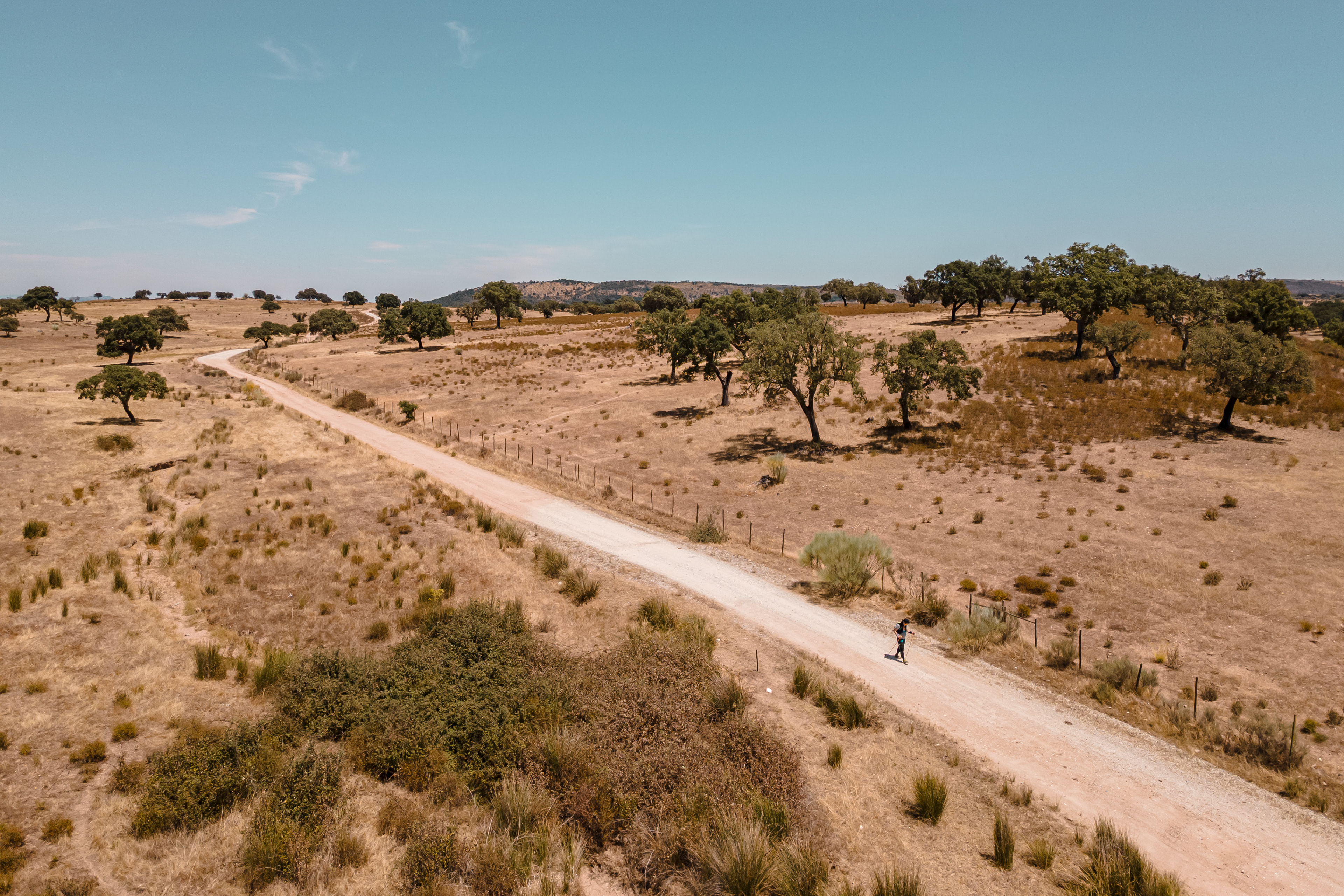 PT281 Ultramarathon