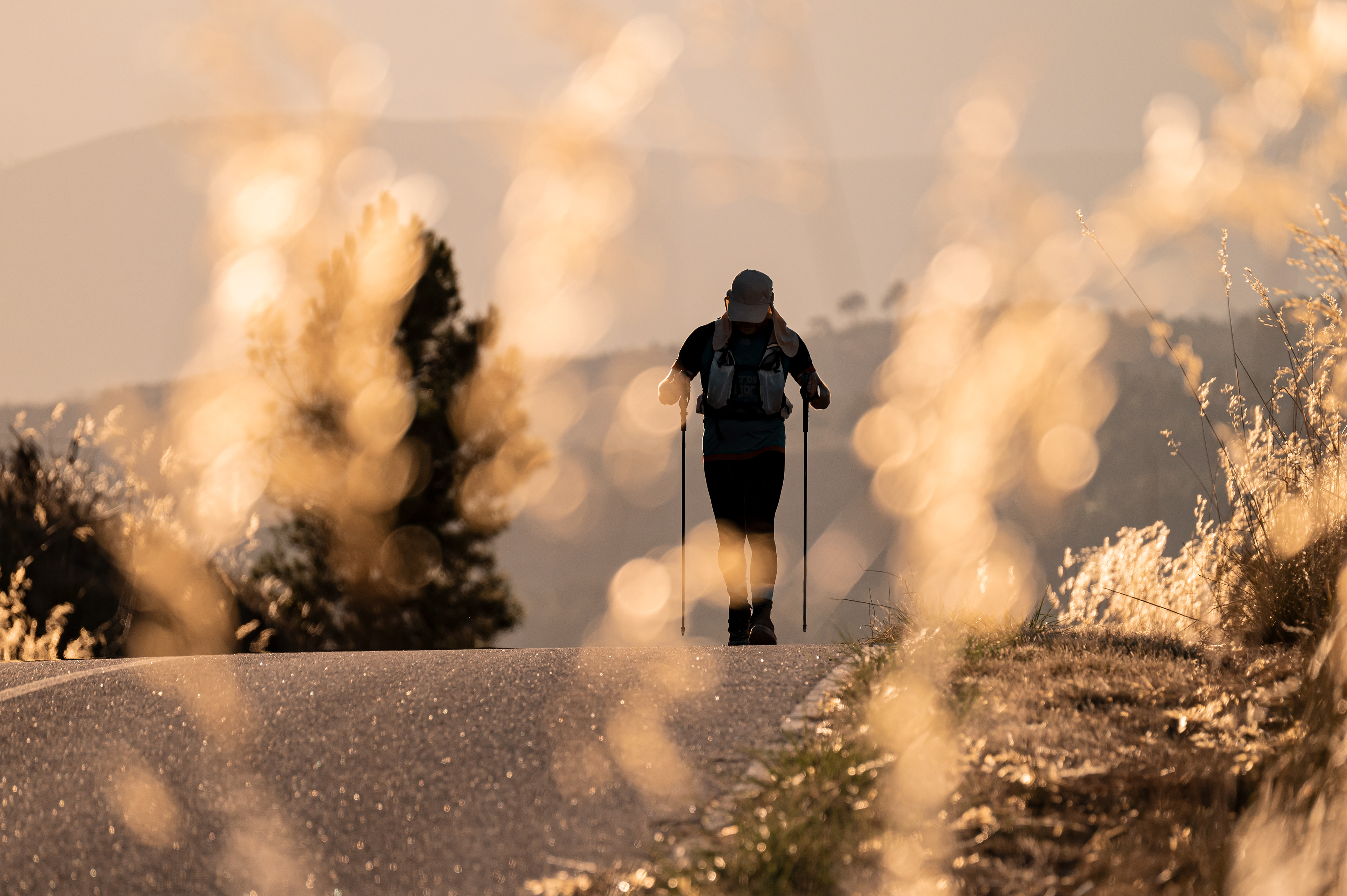 PT281 Ultramarathon
