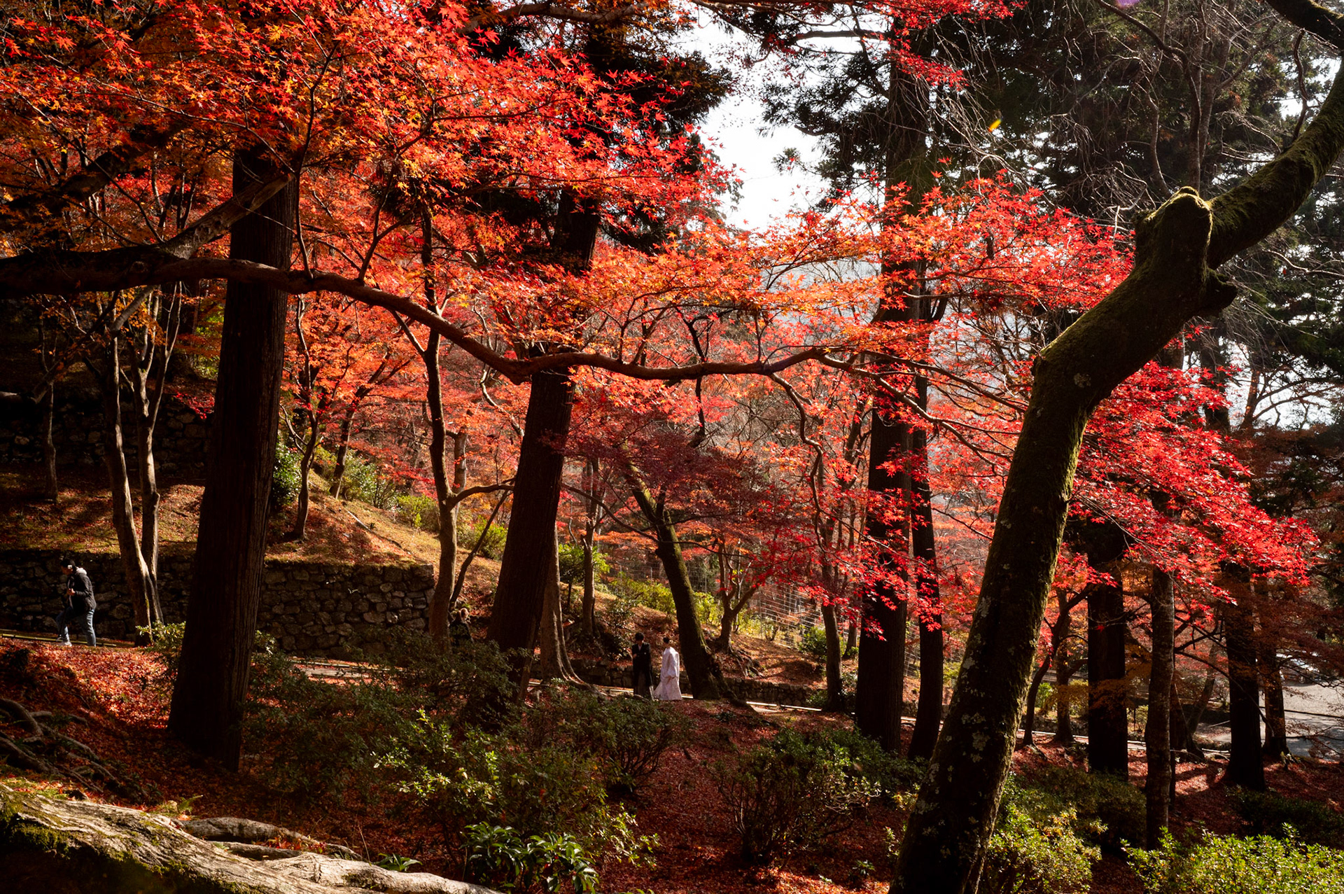 Japan - Kyoto