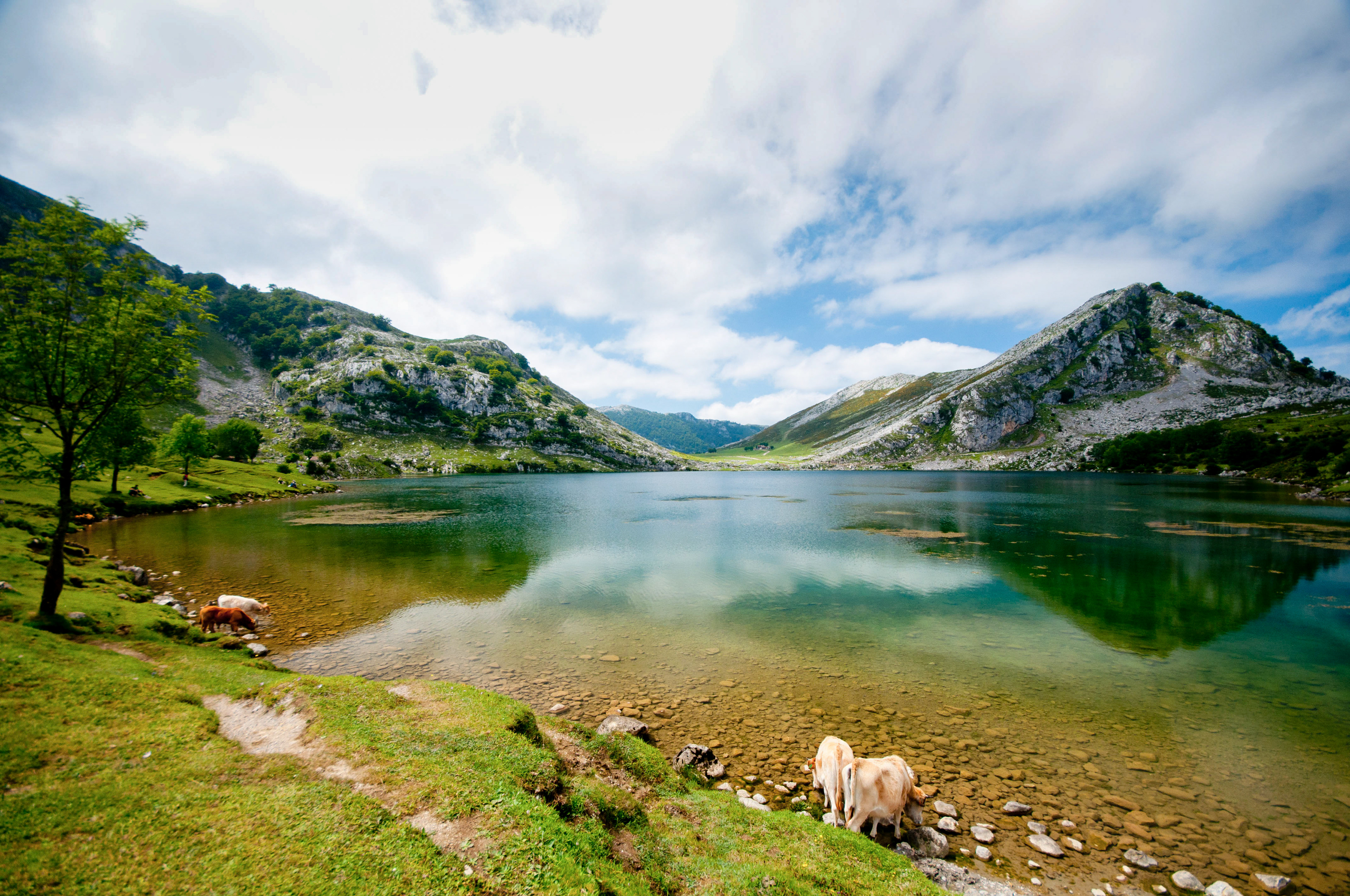 Spain - Covadonga Lakes