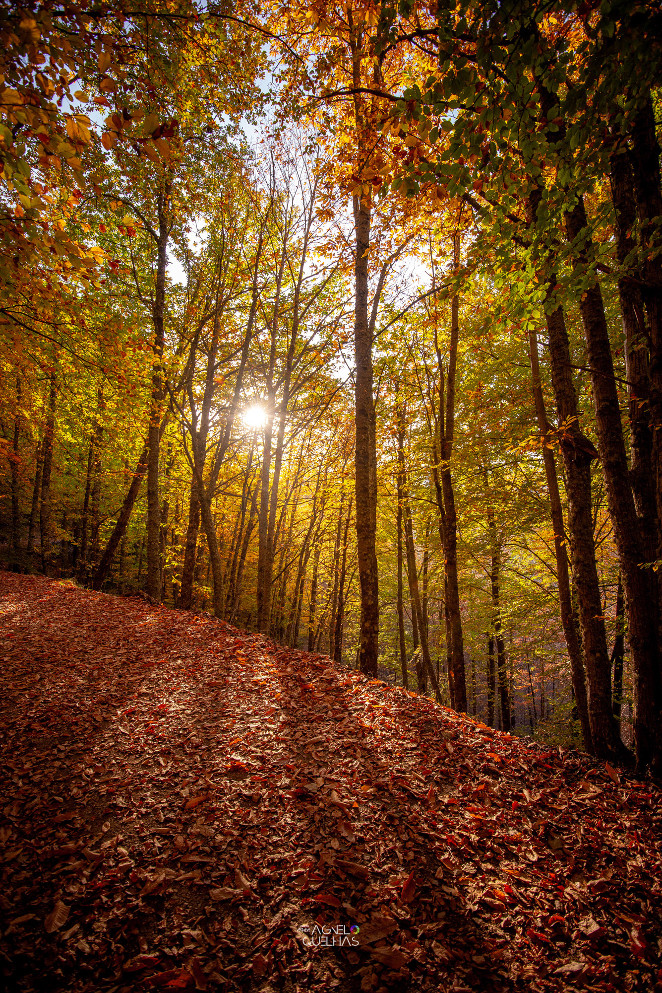 Portugal - Serra da Estrela Natural Park