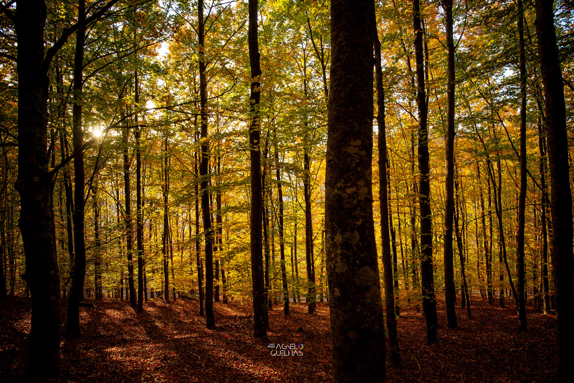 Portugal - Serra da Estrela Natural Park