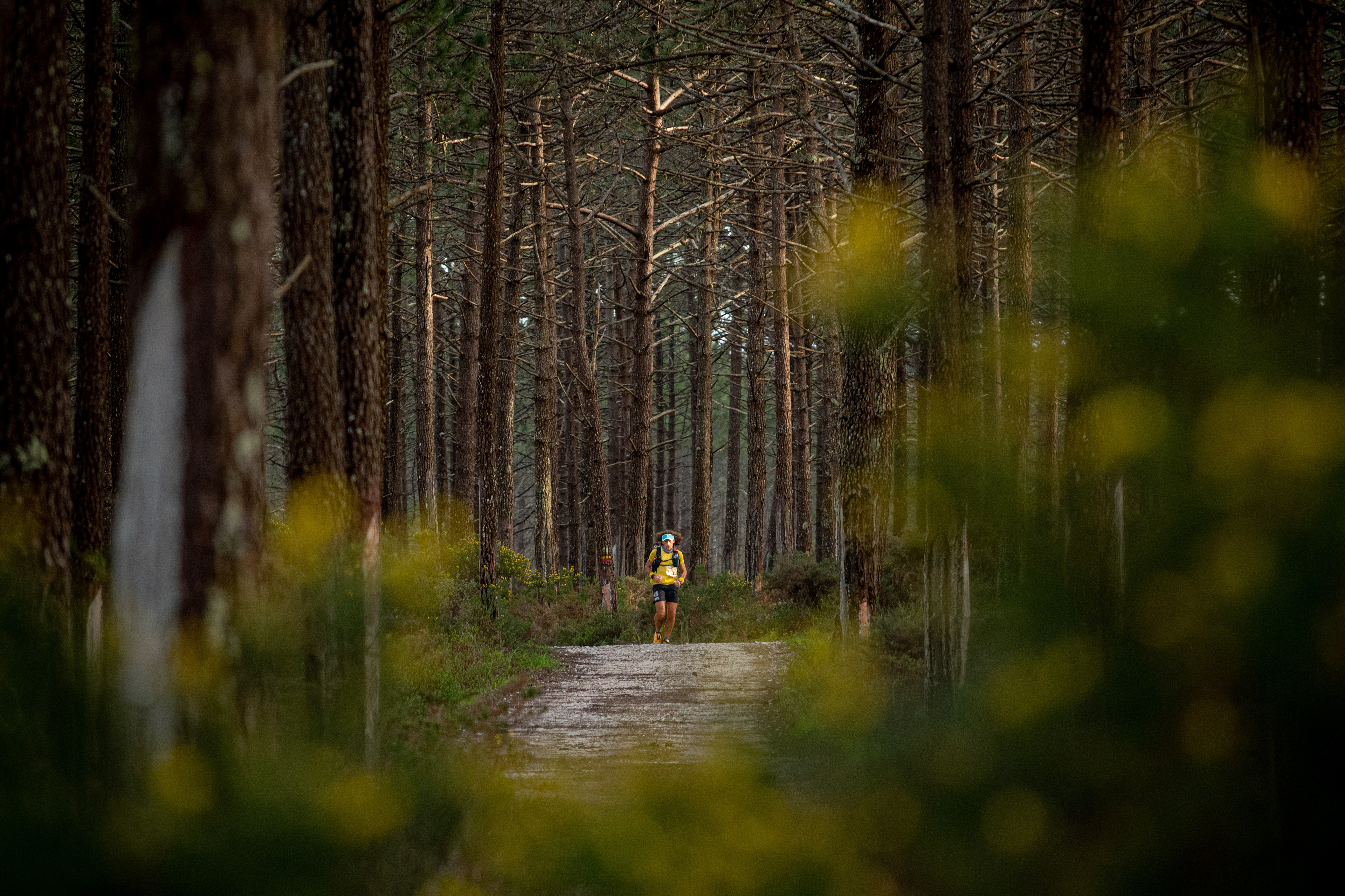Terra de Gigantes Ultramarathon