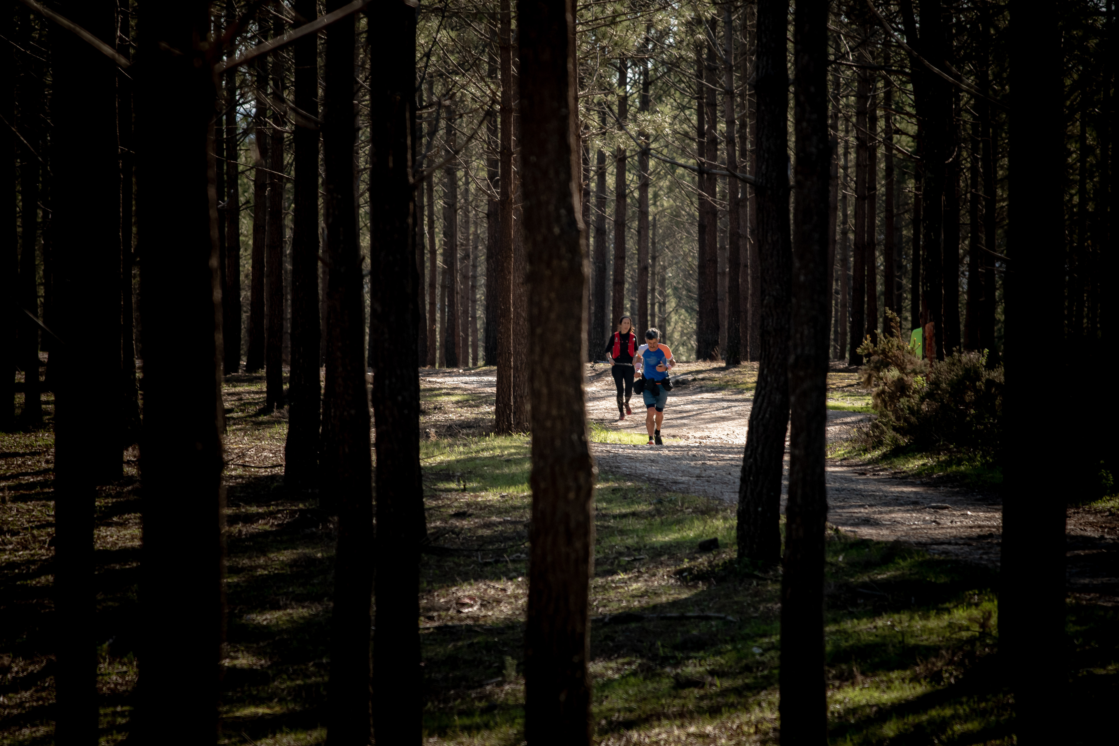 Terra de Gigantes Ultramarathon